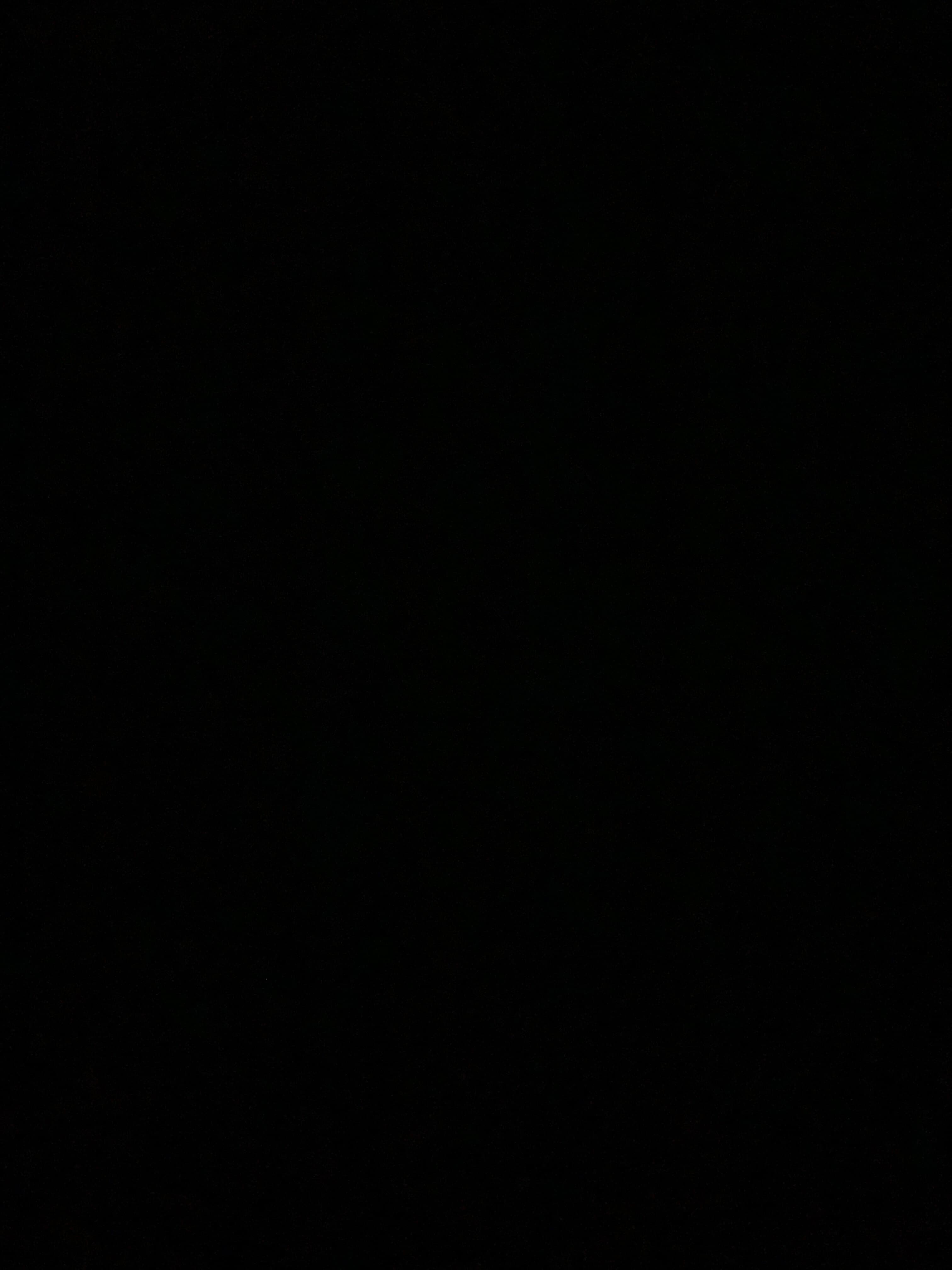 Bella๐ banner image