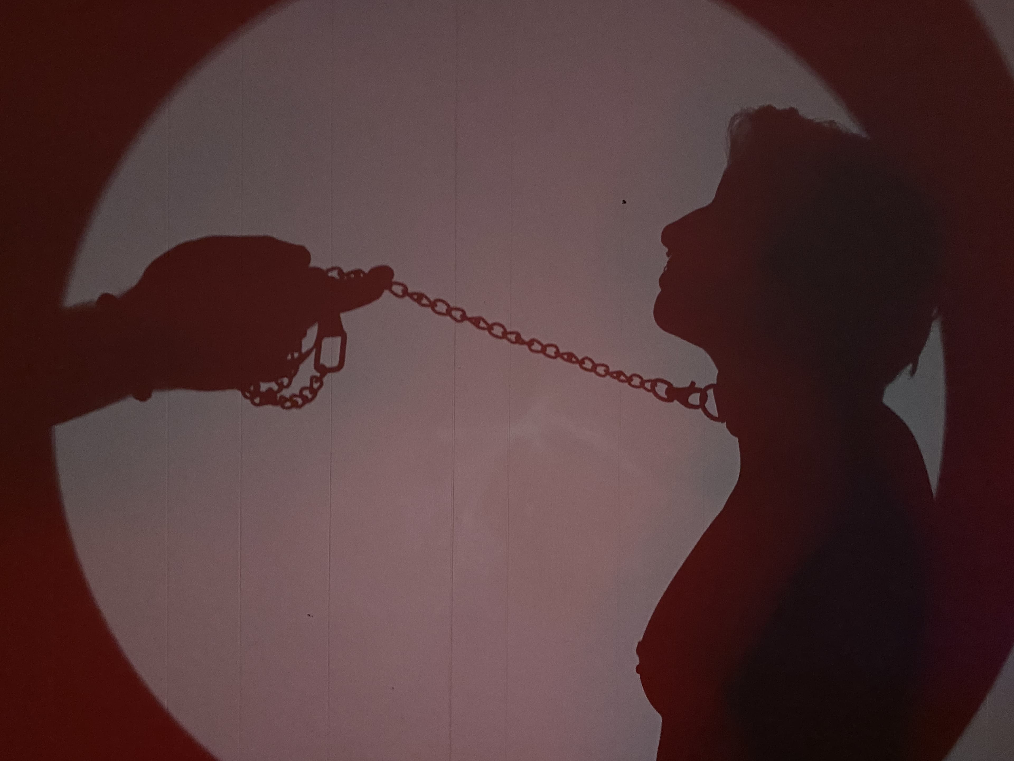 nyx nova banner image
