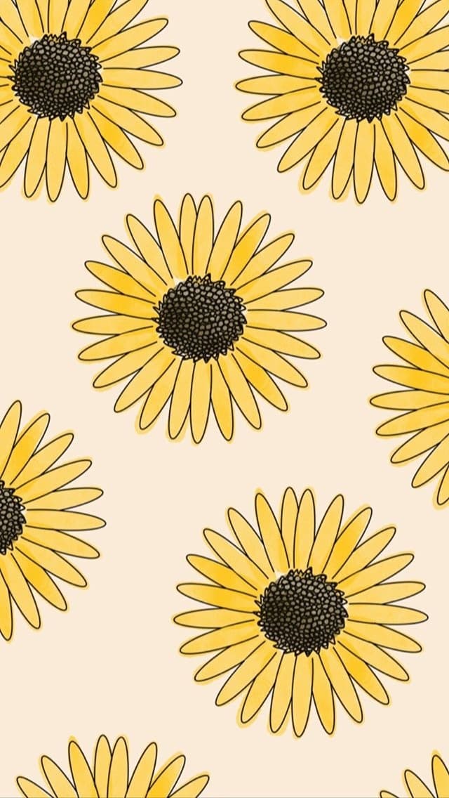 Melody Grace ✨ banner image