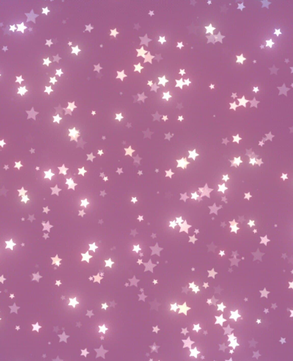 Dollie banner image