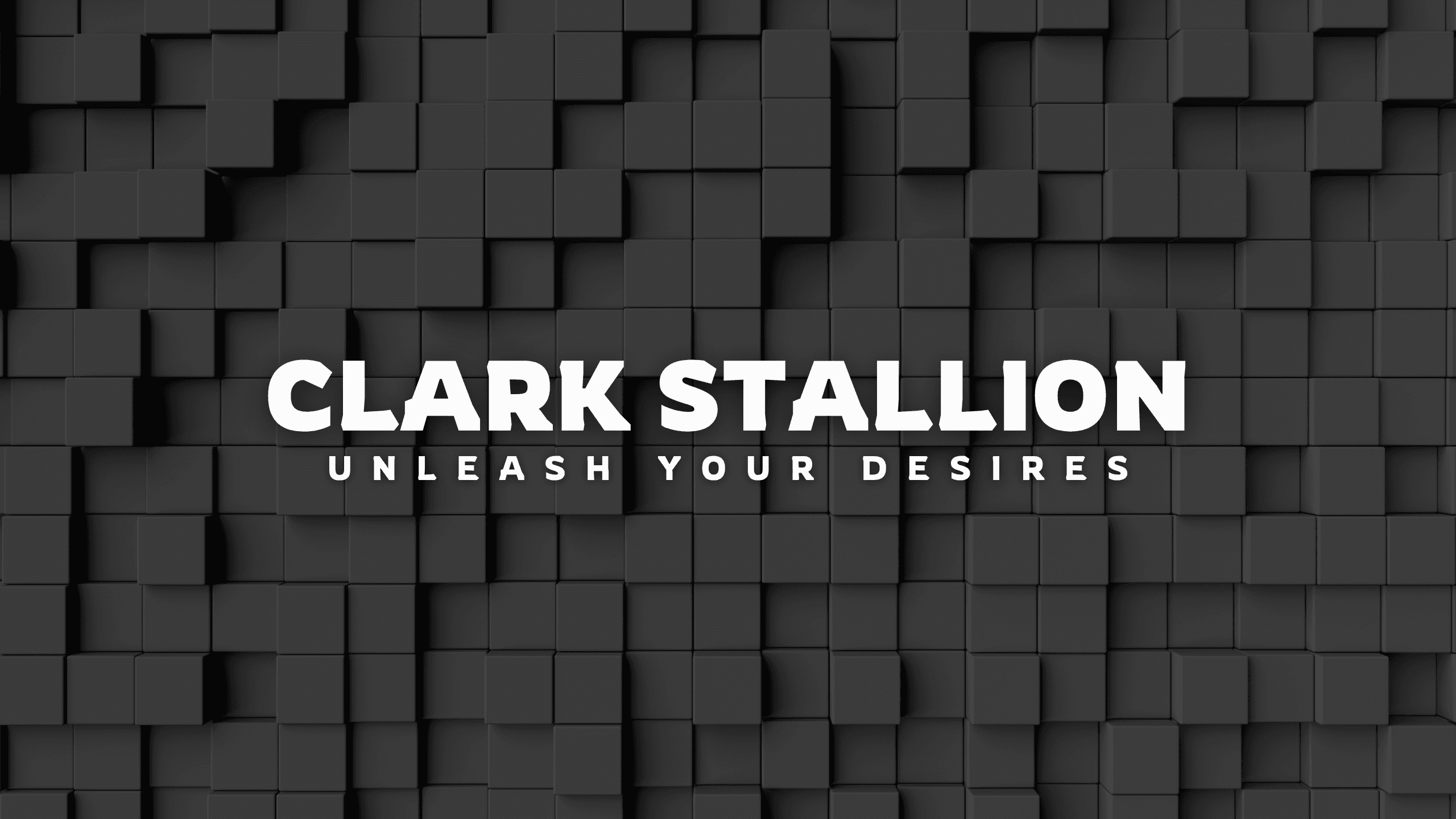 Clark Stallion banner image