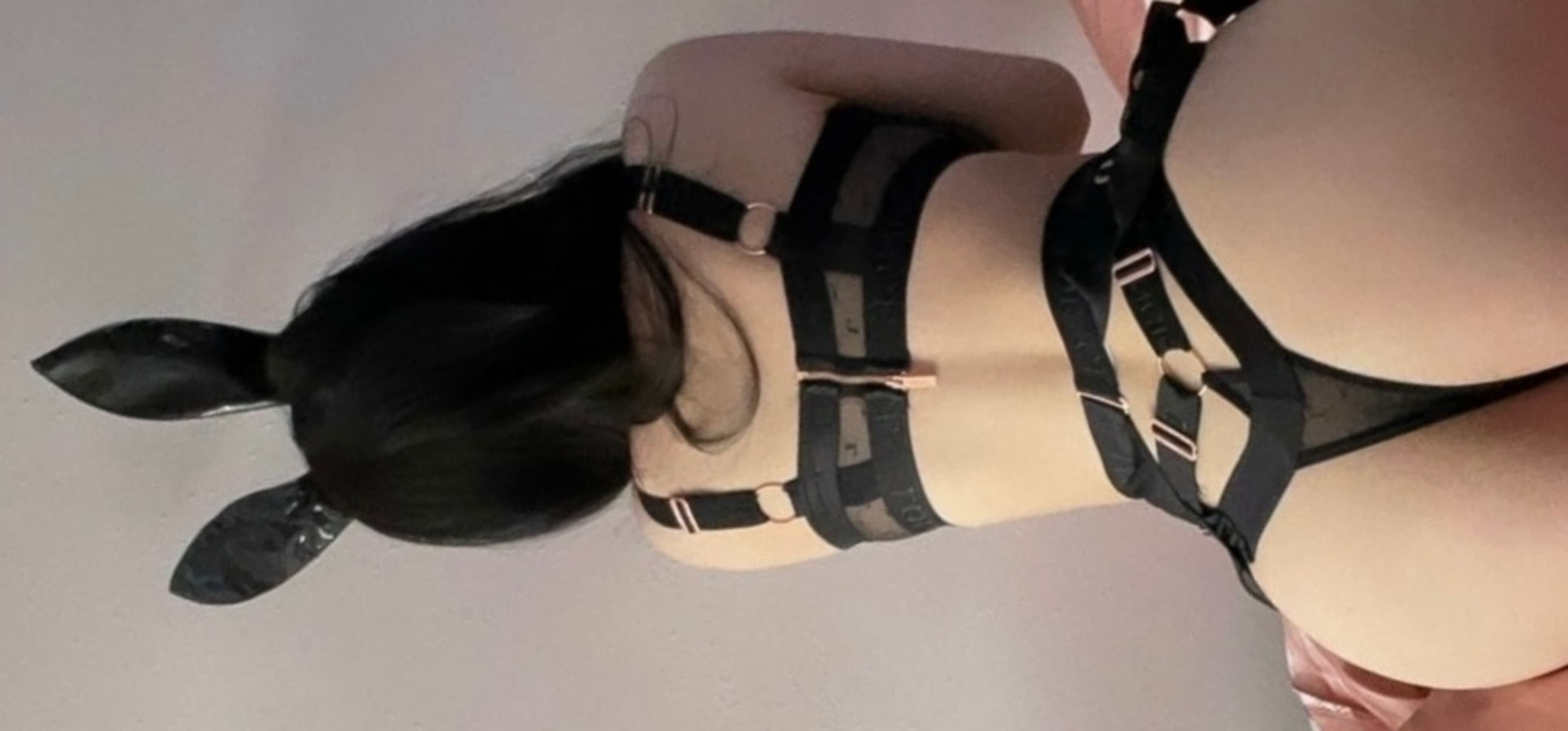 Mira π banner image