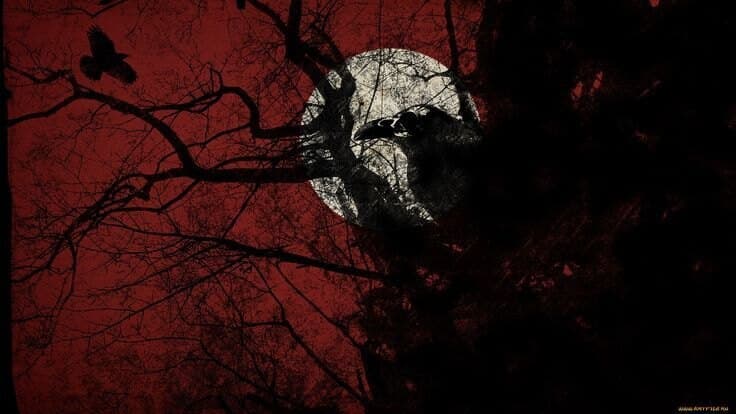Chernichka banner image