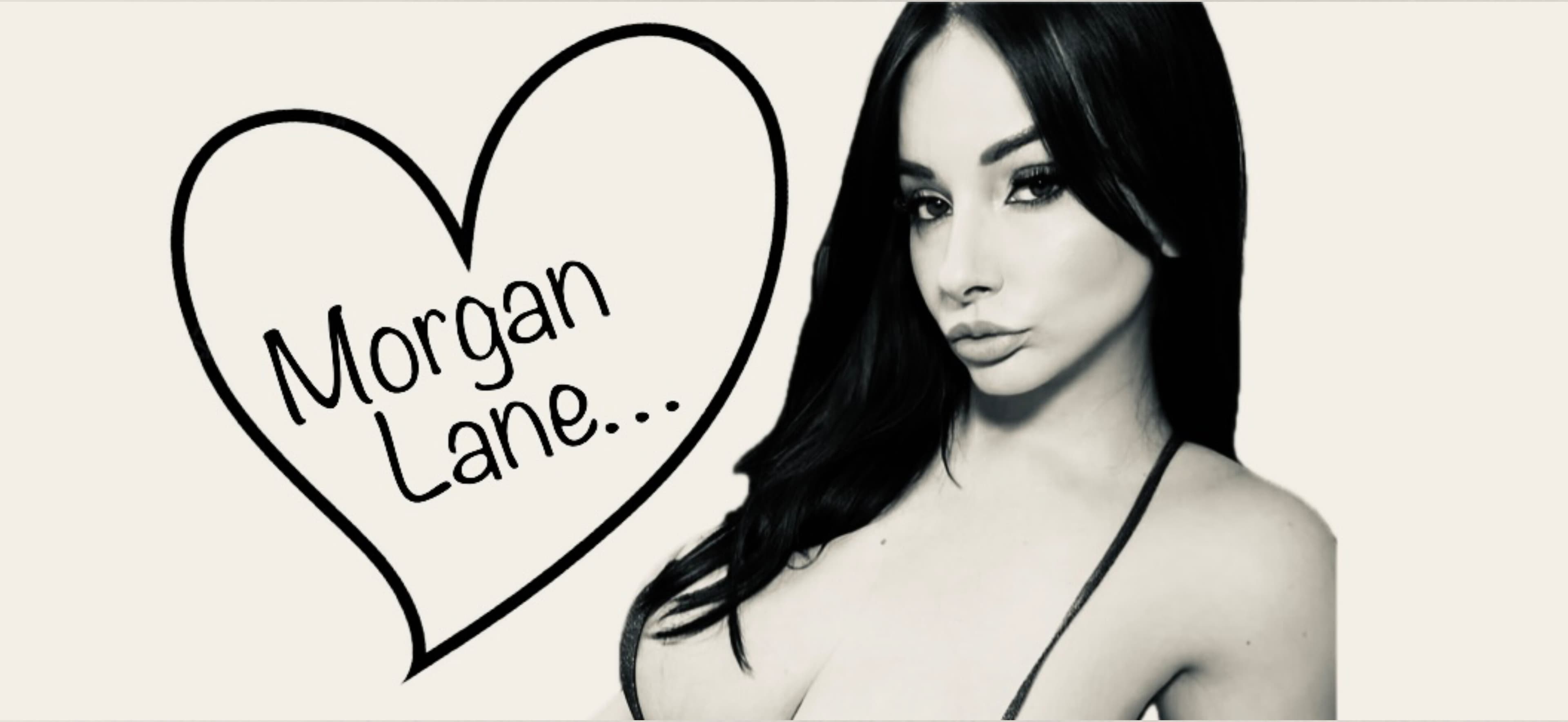 Morgan Lane banner image