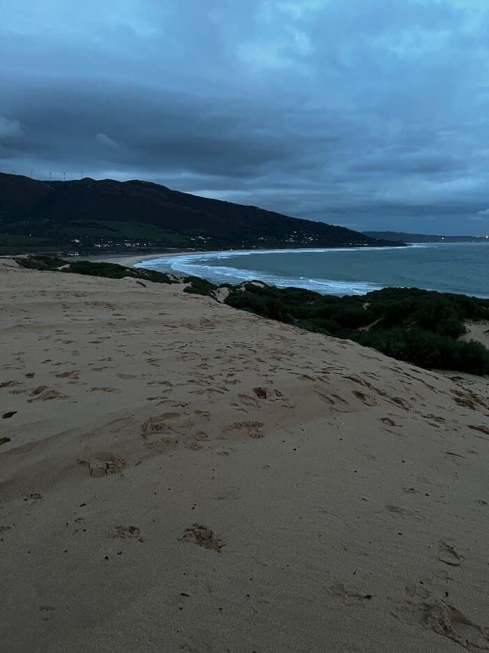 Wilfred banner image