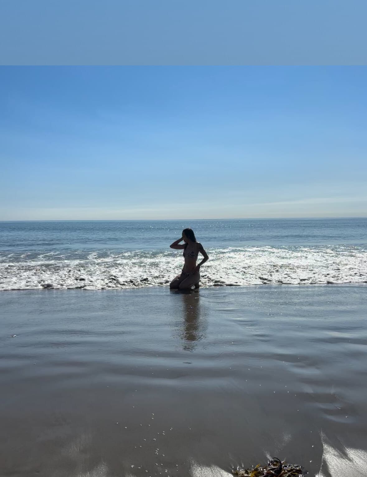 Jessica banner image