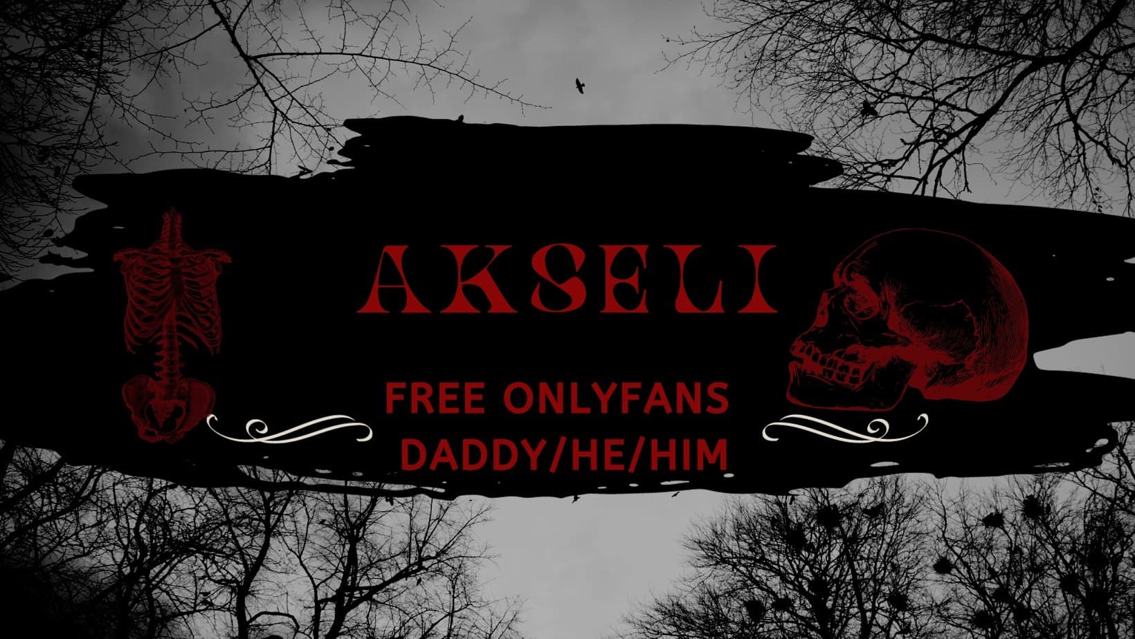 AkseliFree banner image