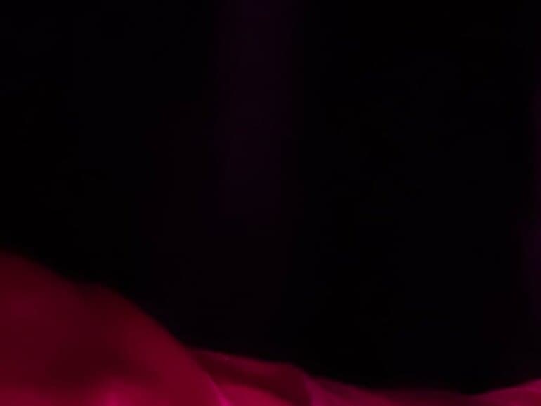 Fox banner image