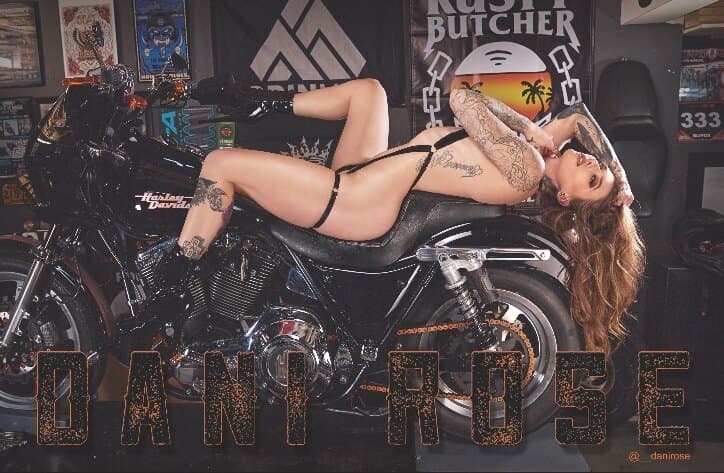 Dani Rose banner image