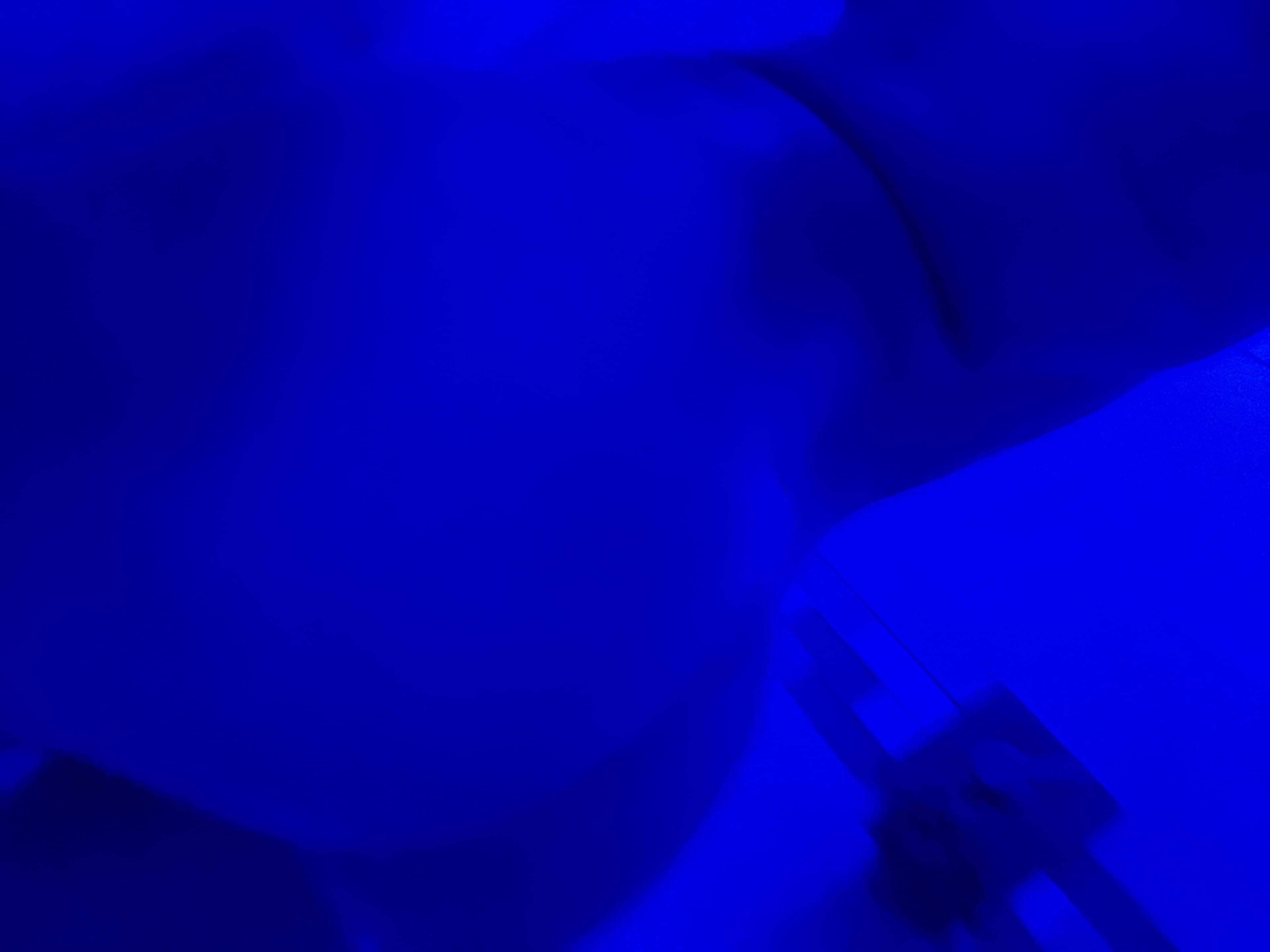 Elena banner image