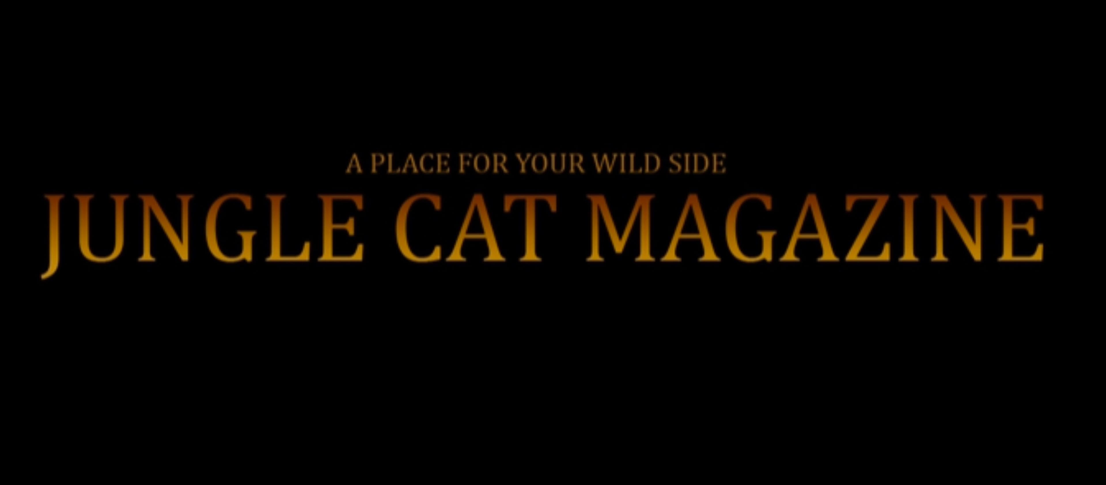 JUNGLE CAT MAGAZINE banner image
