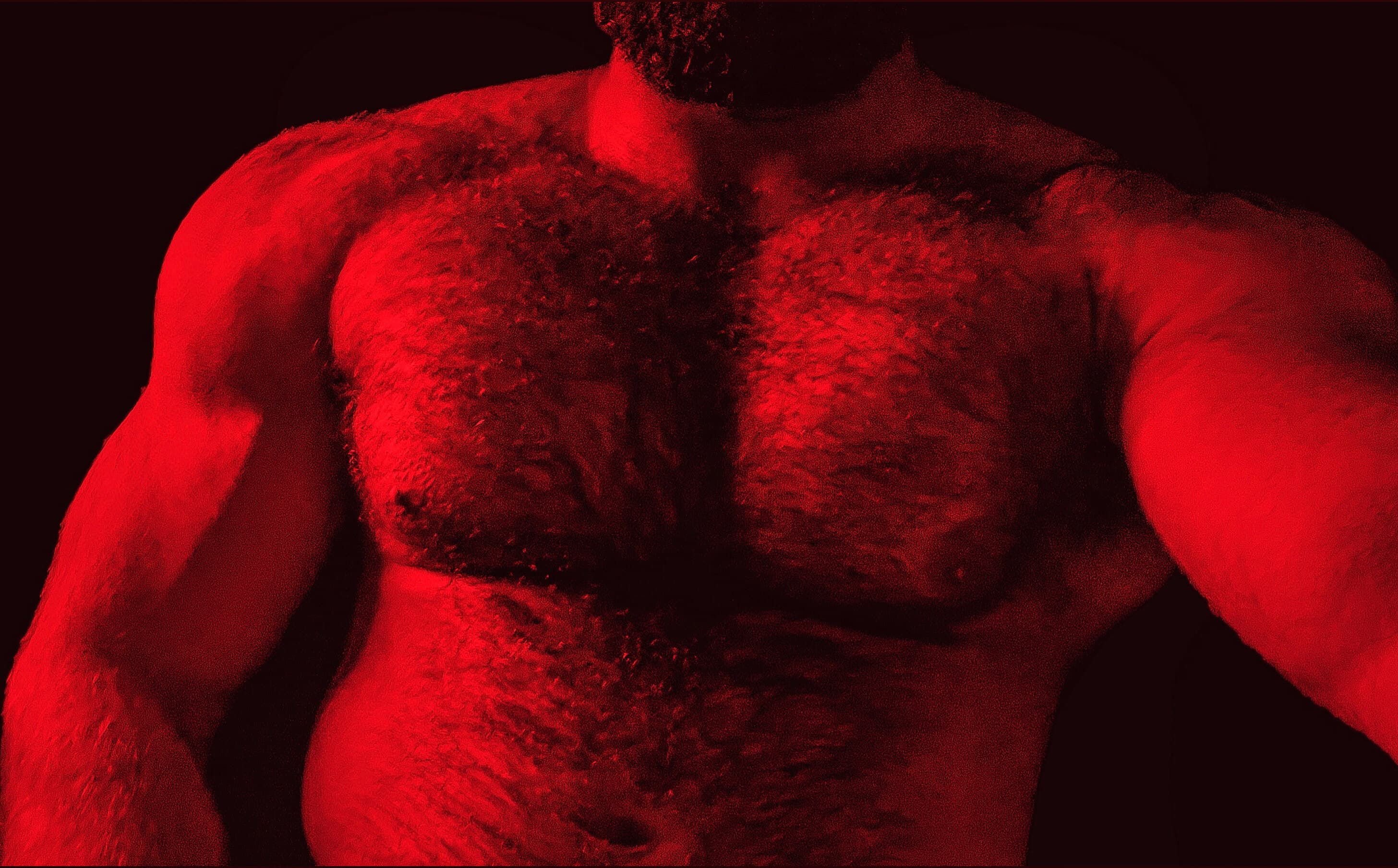 Champ banner image