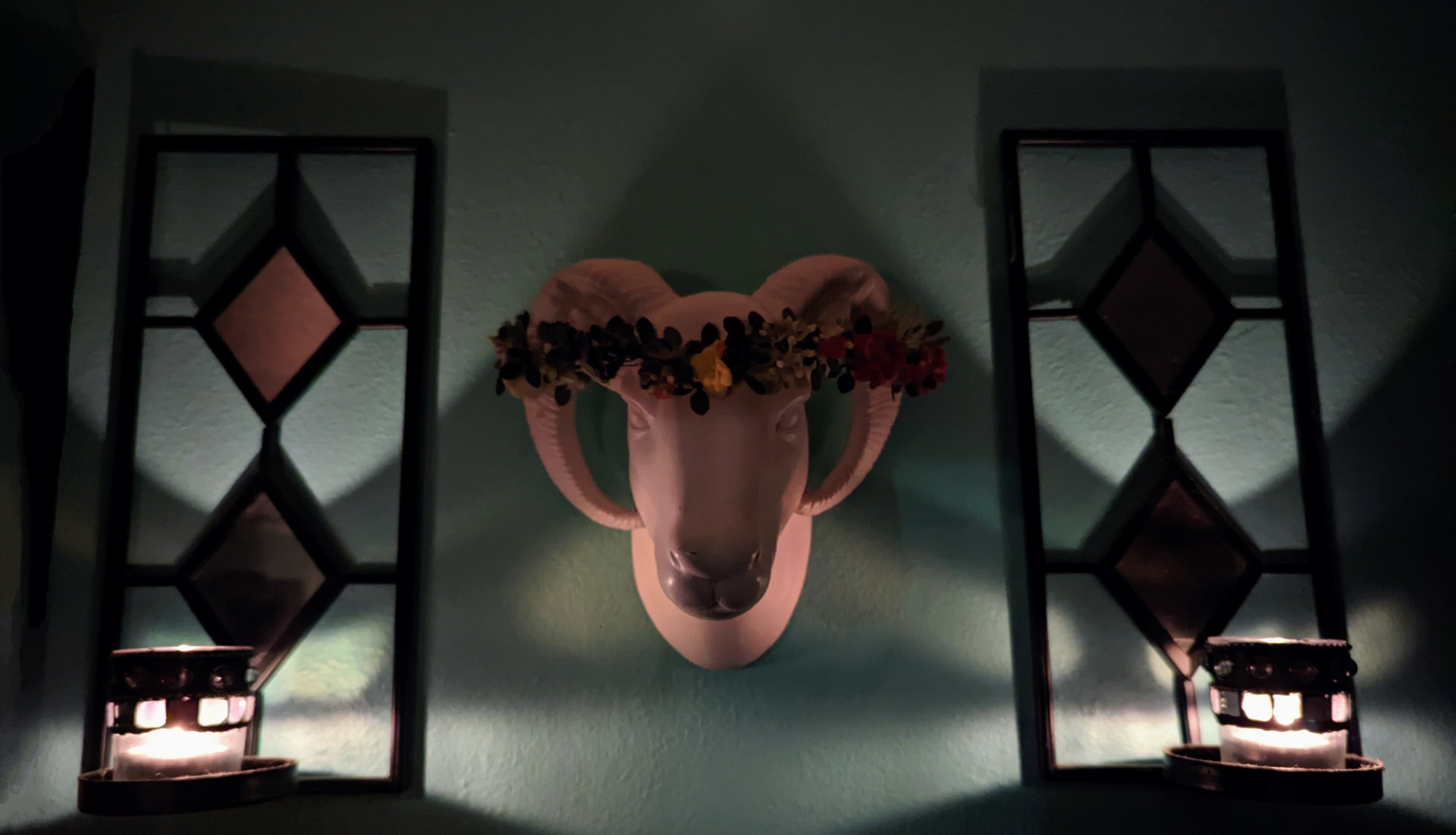 Venus banner image