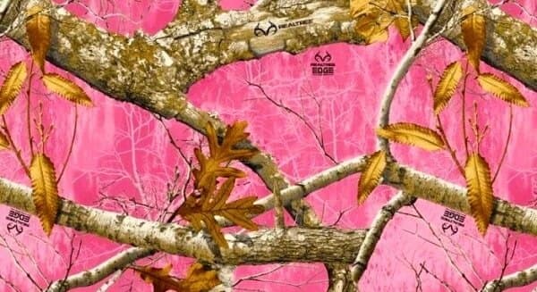 Holler honey ππ¦ banner image