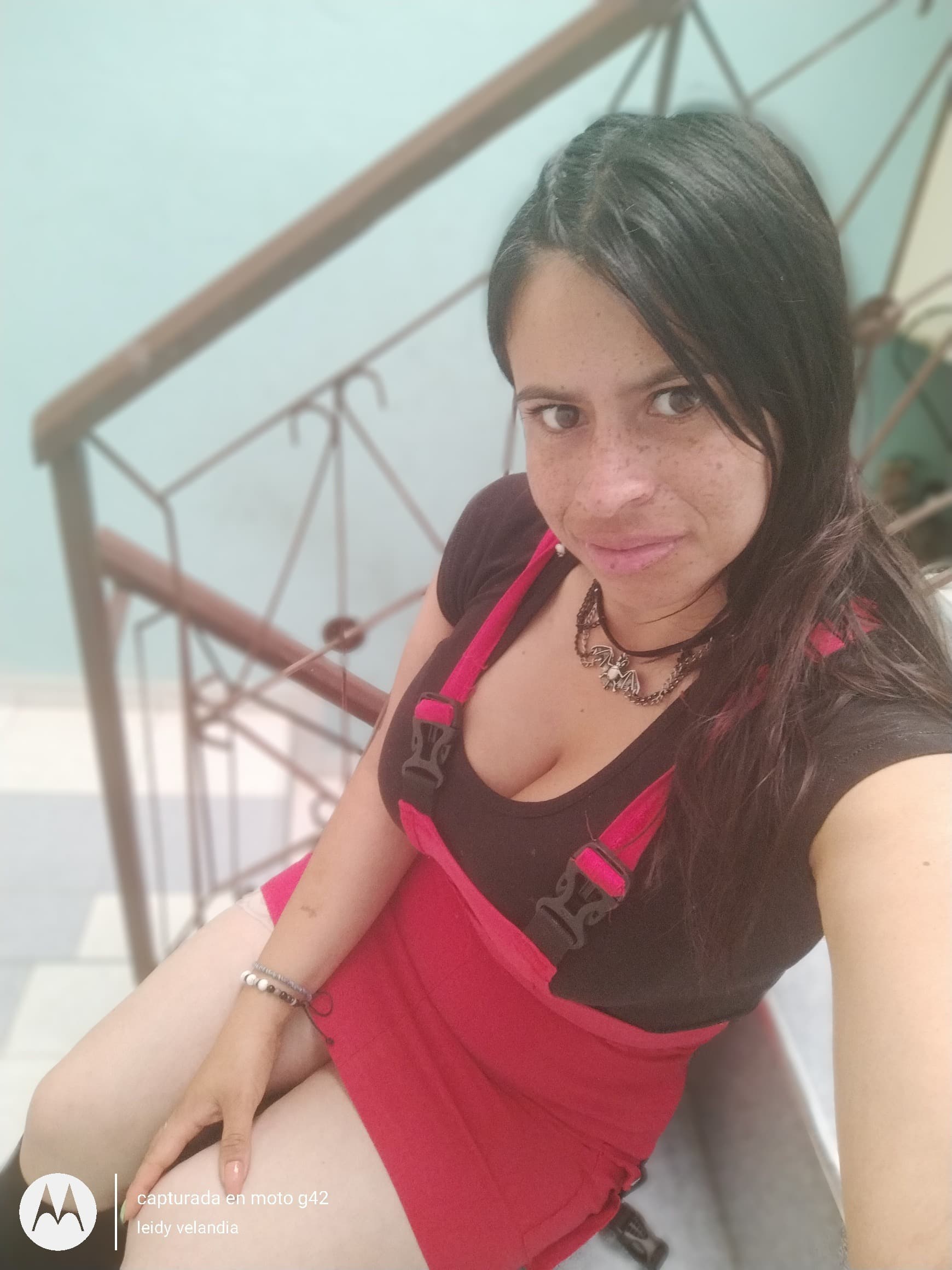 Leidy banner image
