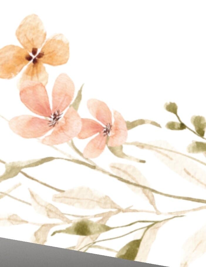 PorchLightIvy banner image