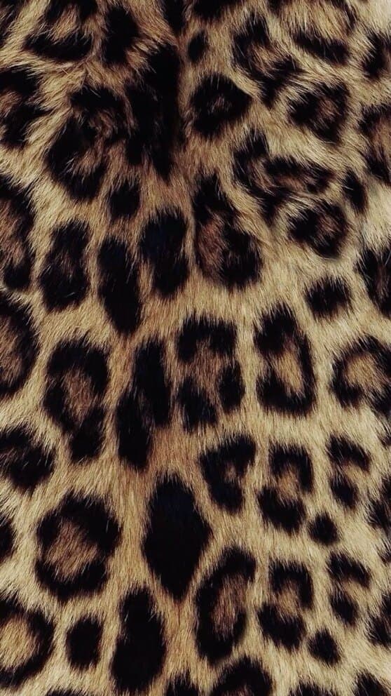 Jade 🖤 banner image