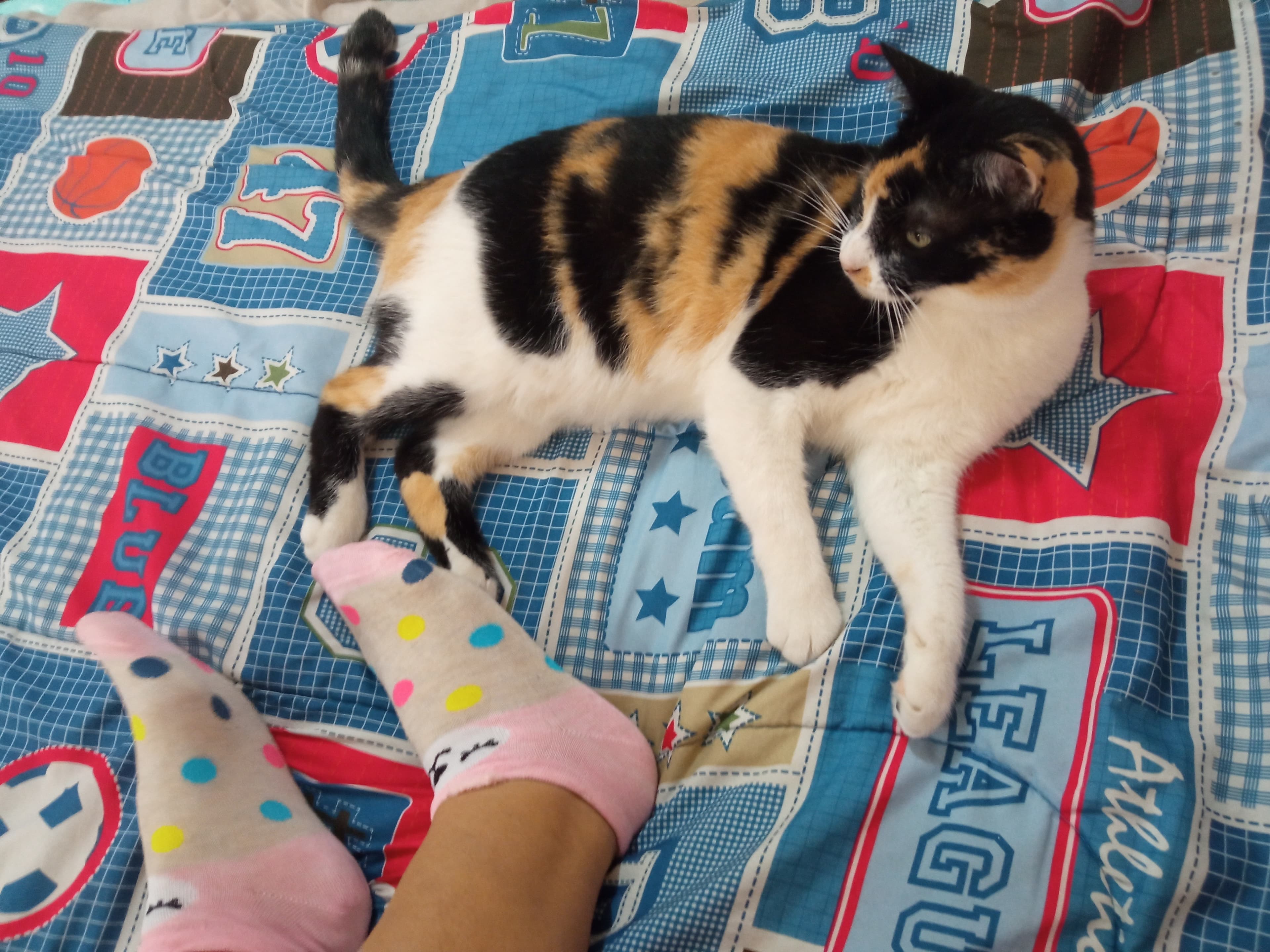 Beatiful female feet banner image