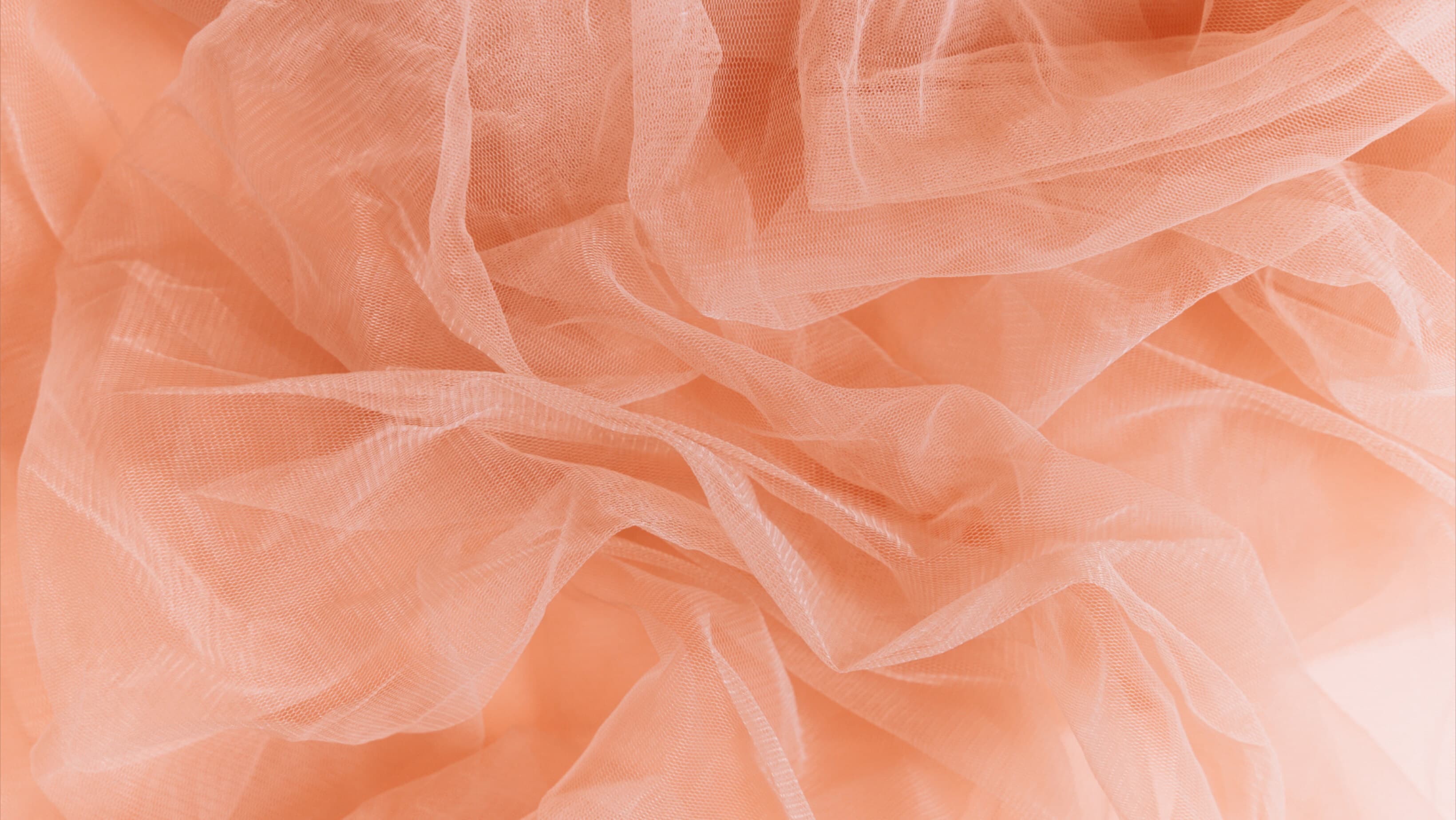 Giddy Peach ππ¦ banner image