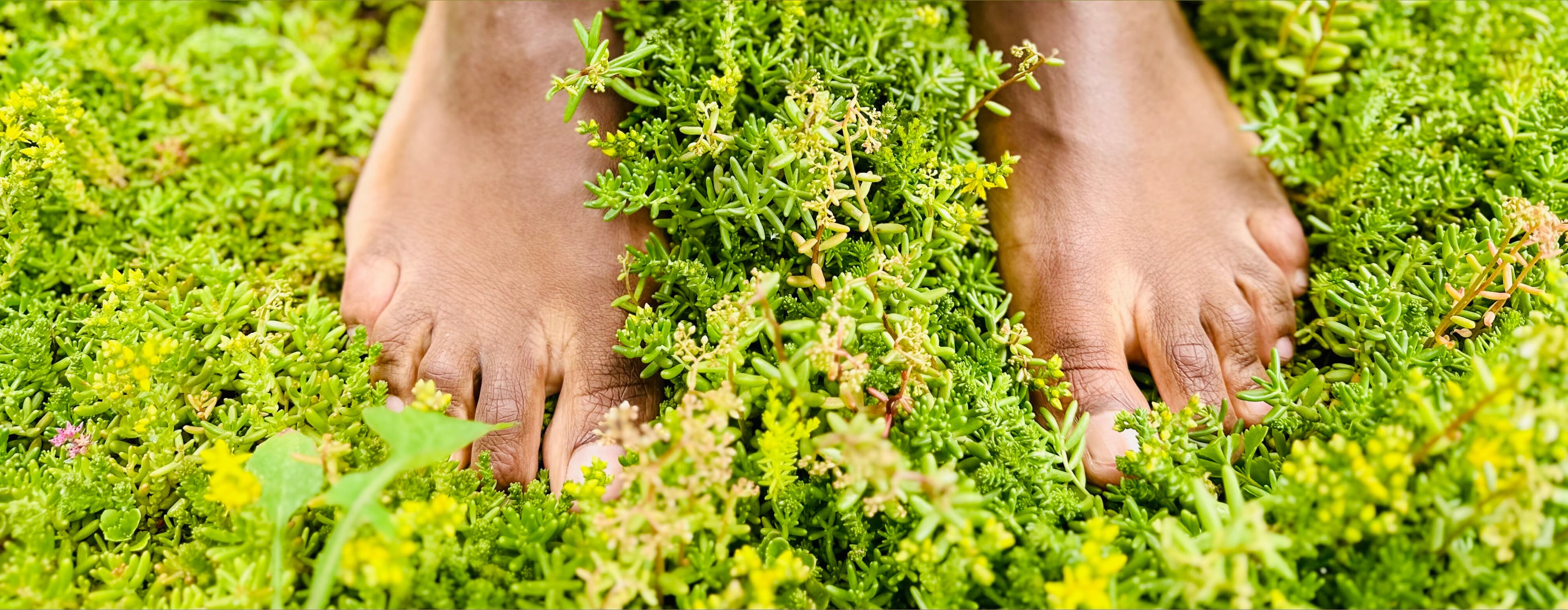 Bare Black Sole banner image