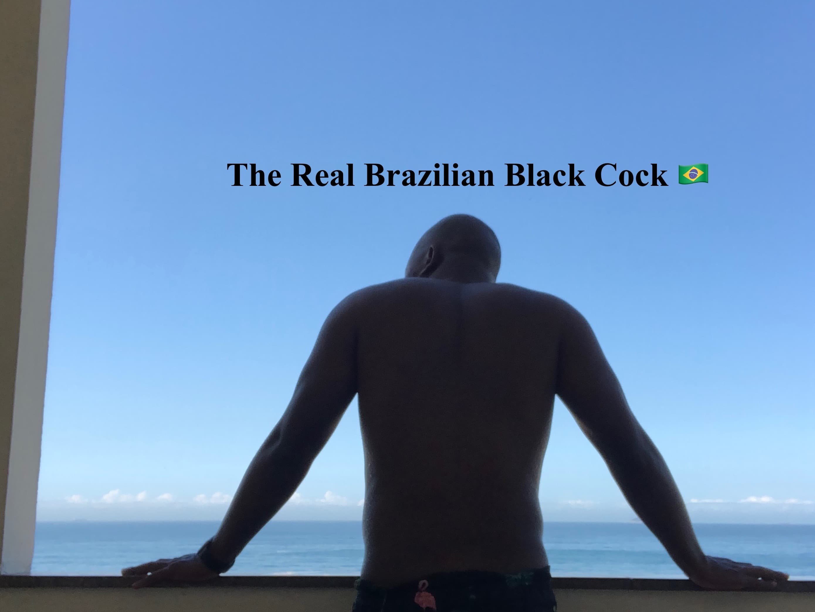 Brazilian Black Cock banner image