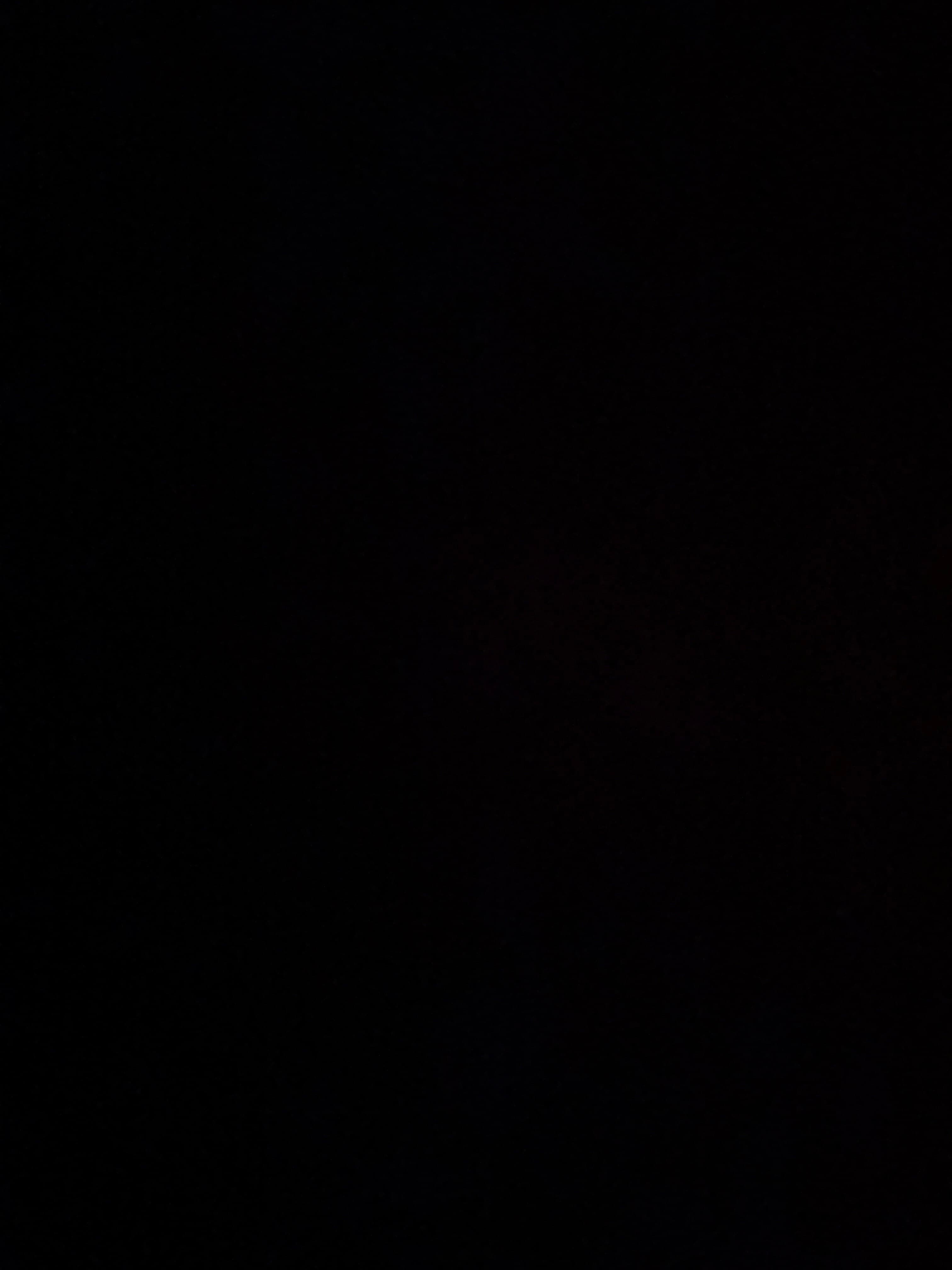 Sofia banner image