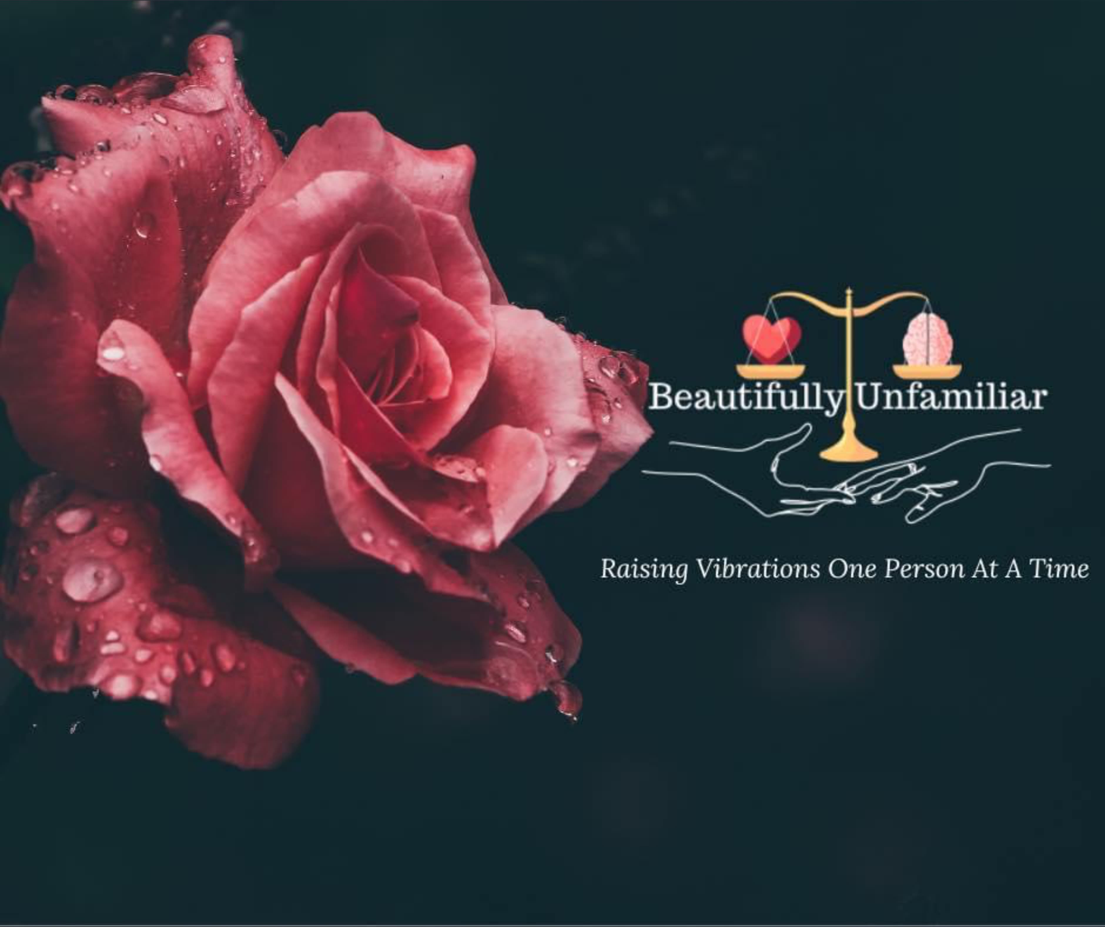 Ayla banner image