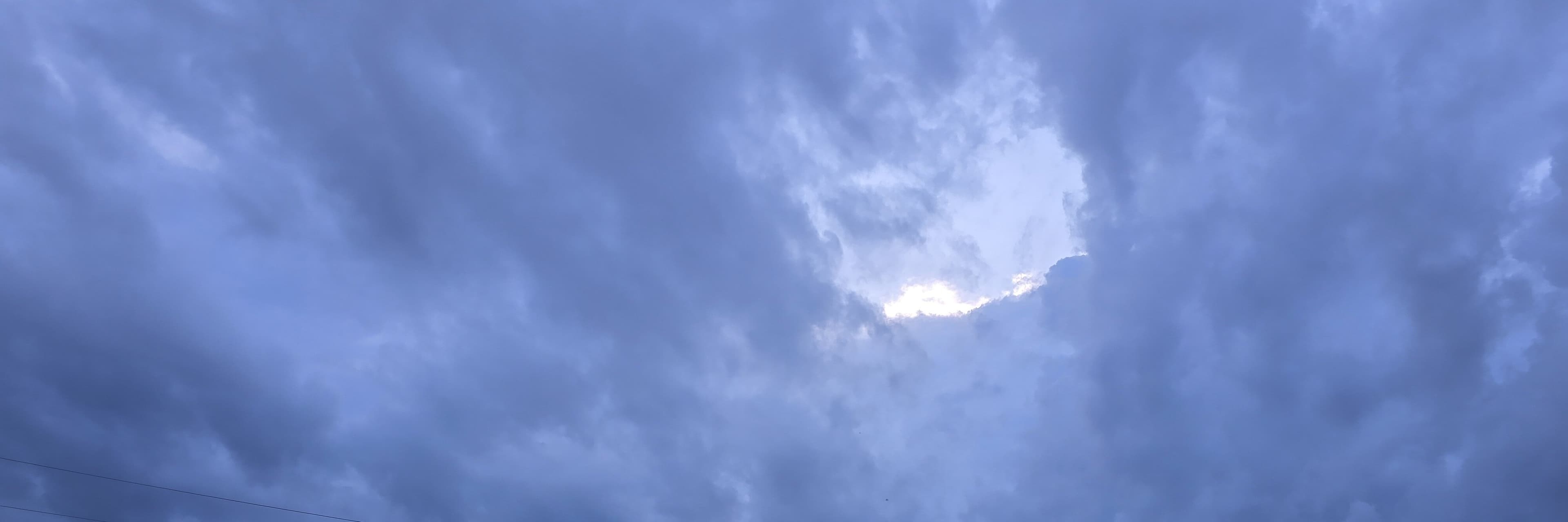 Jess banner image