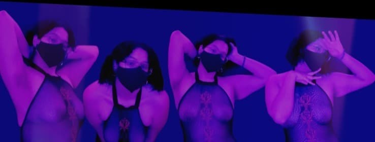 Honeybee banner image