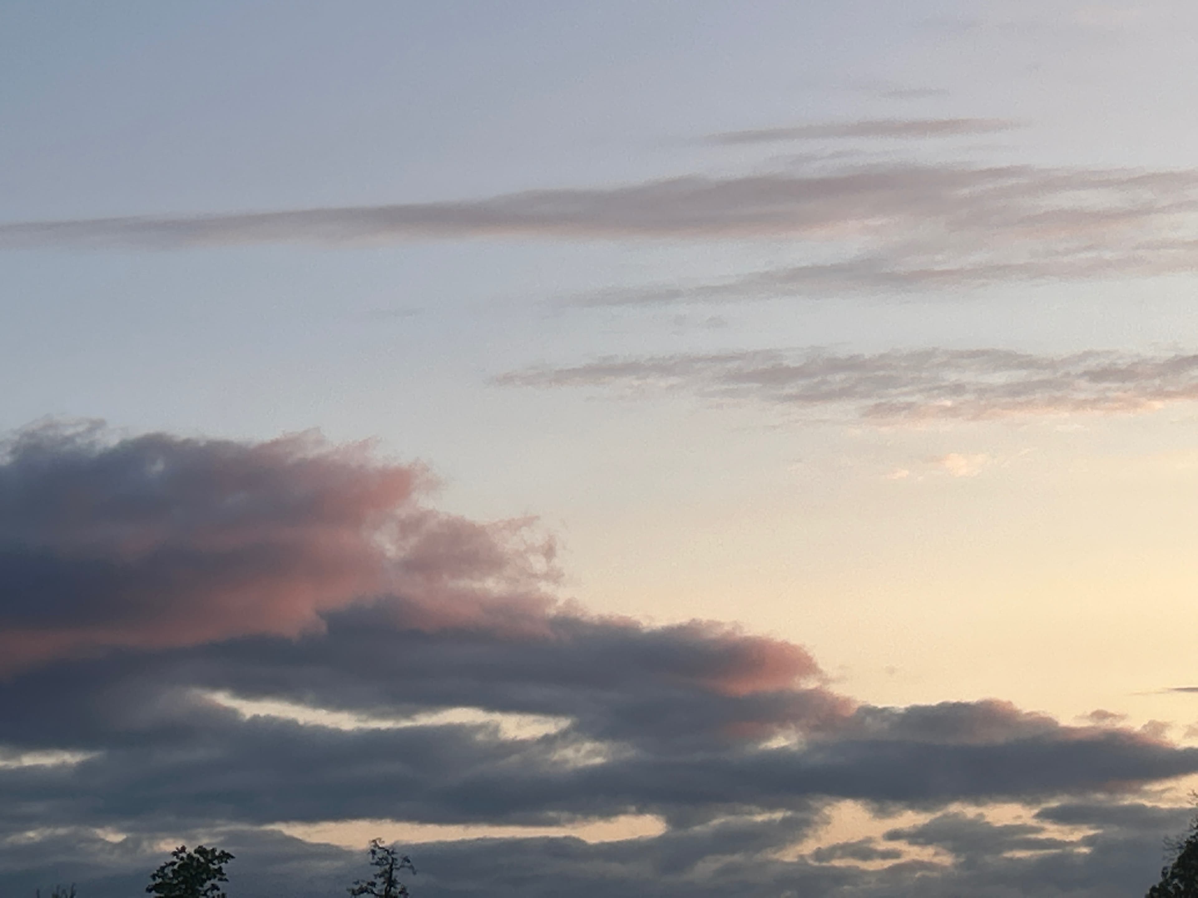 Pprivatepoledance banner image