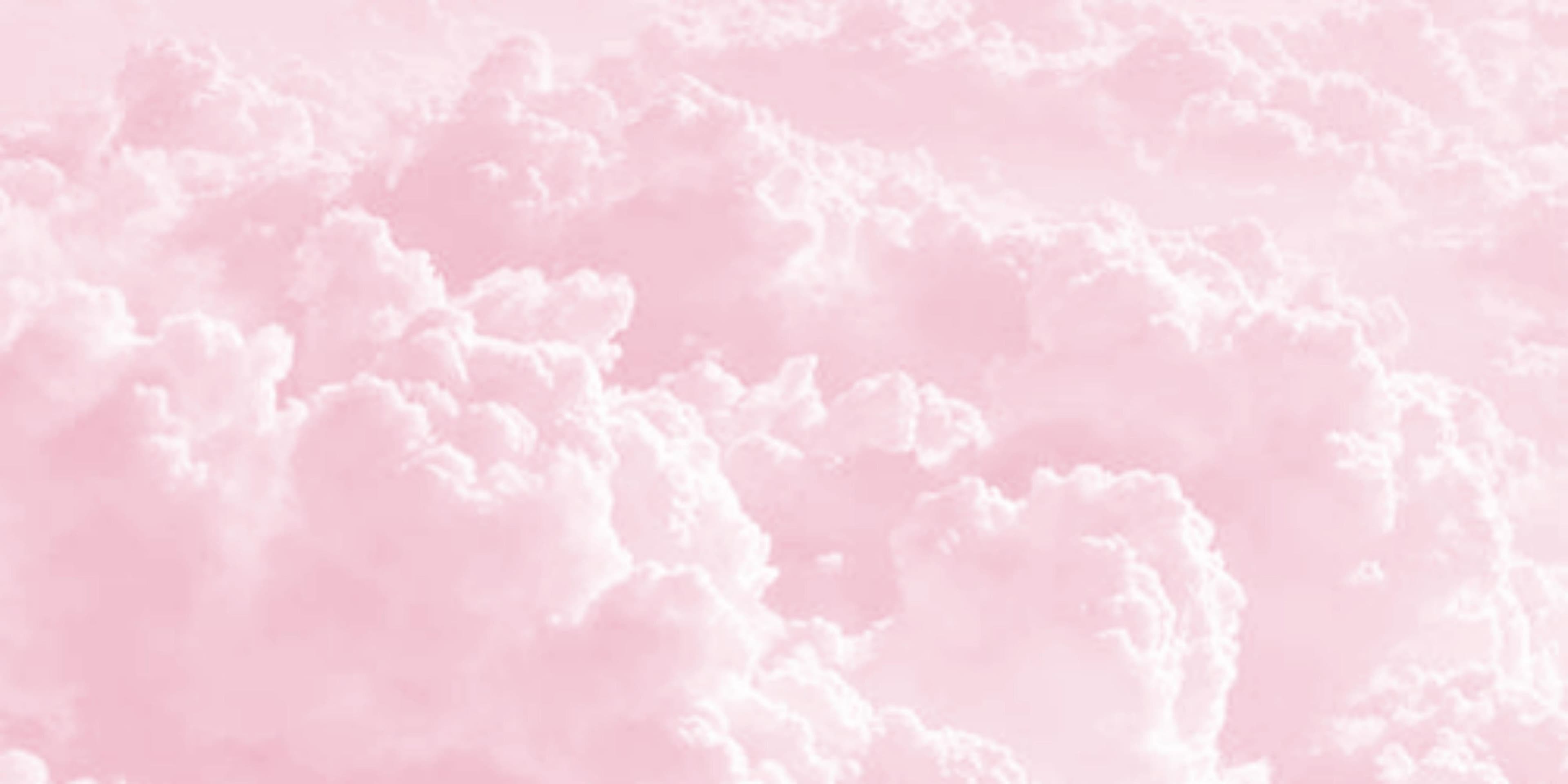 Tania banner image