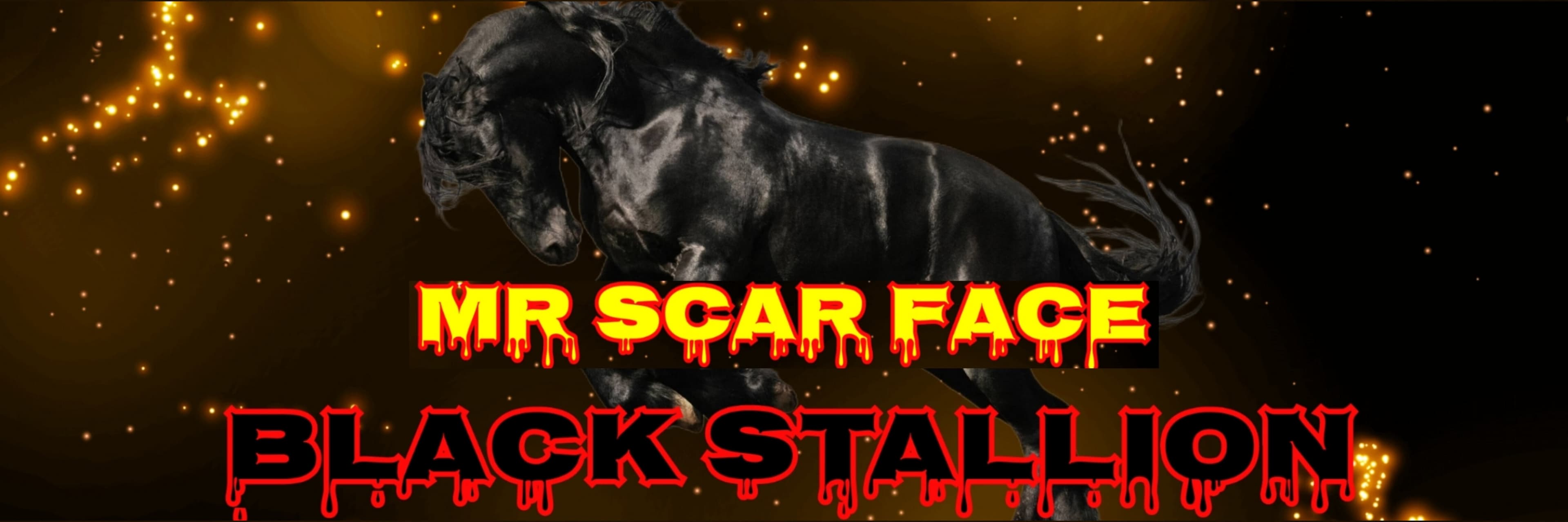 Mr. Scar Face banner image