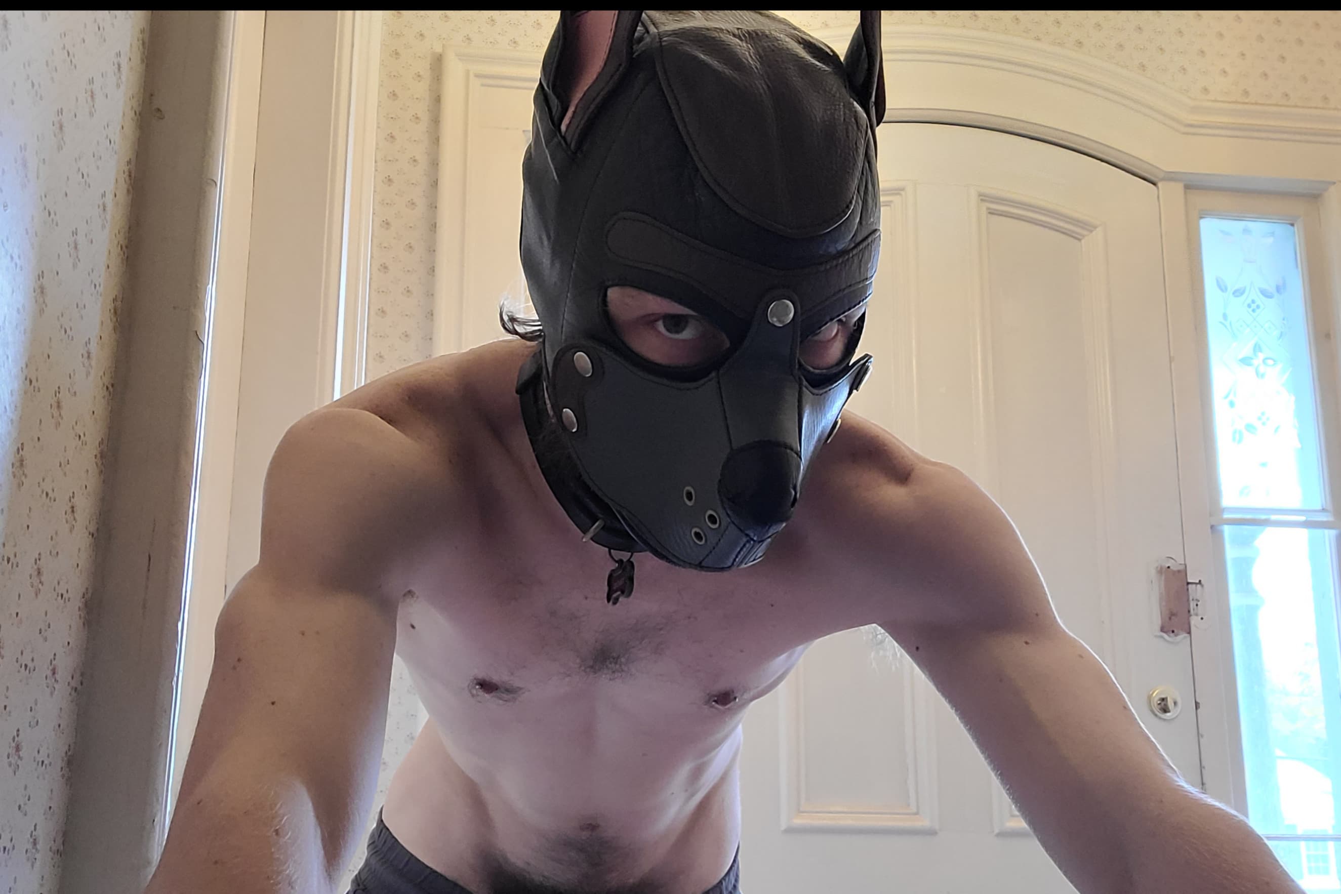Rocket the Smut-Mutt banner image