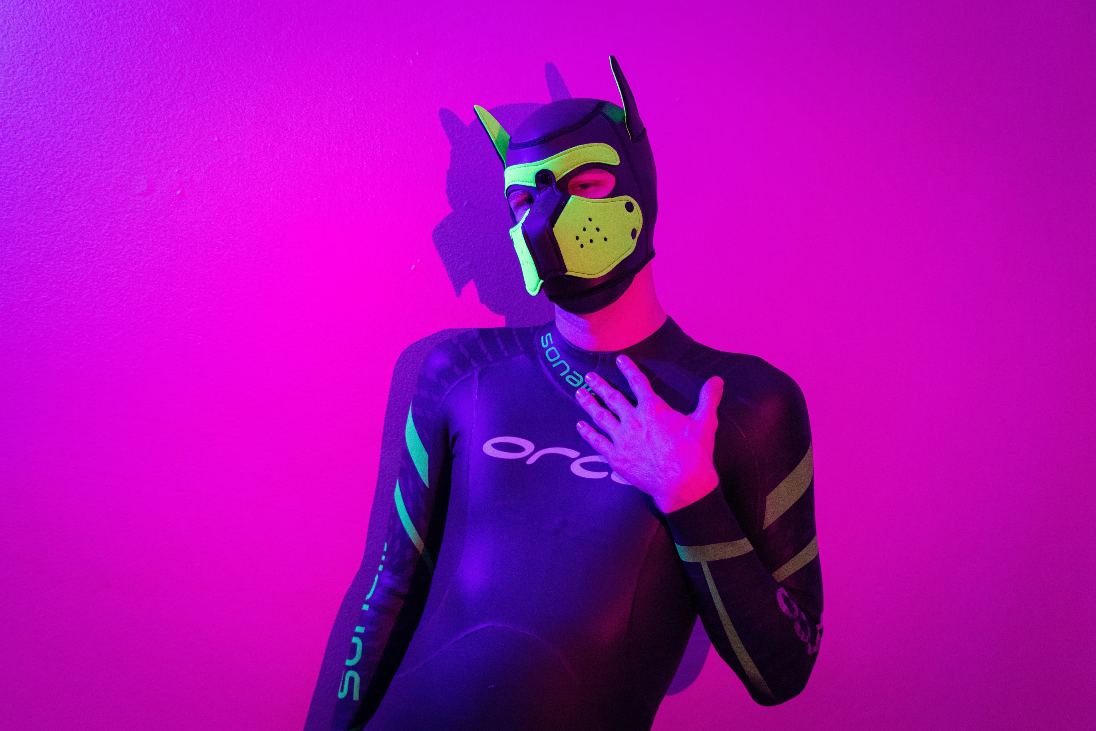 Pup Phil banner image