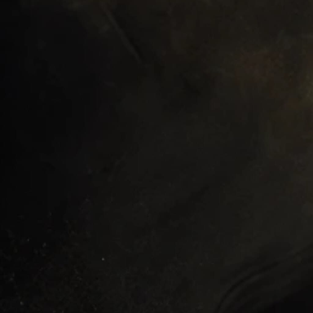 Jaylani Elise banner image