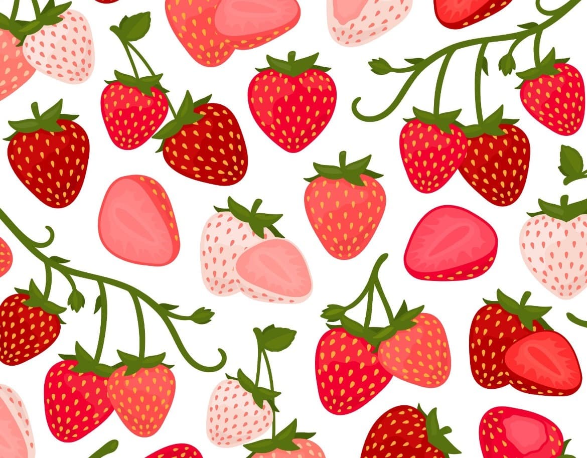 Fresa π banner image