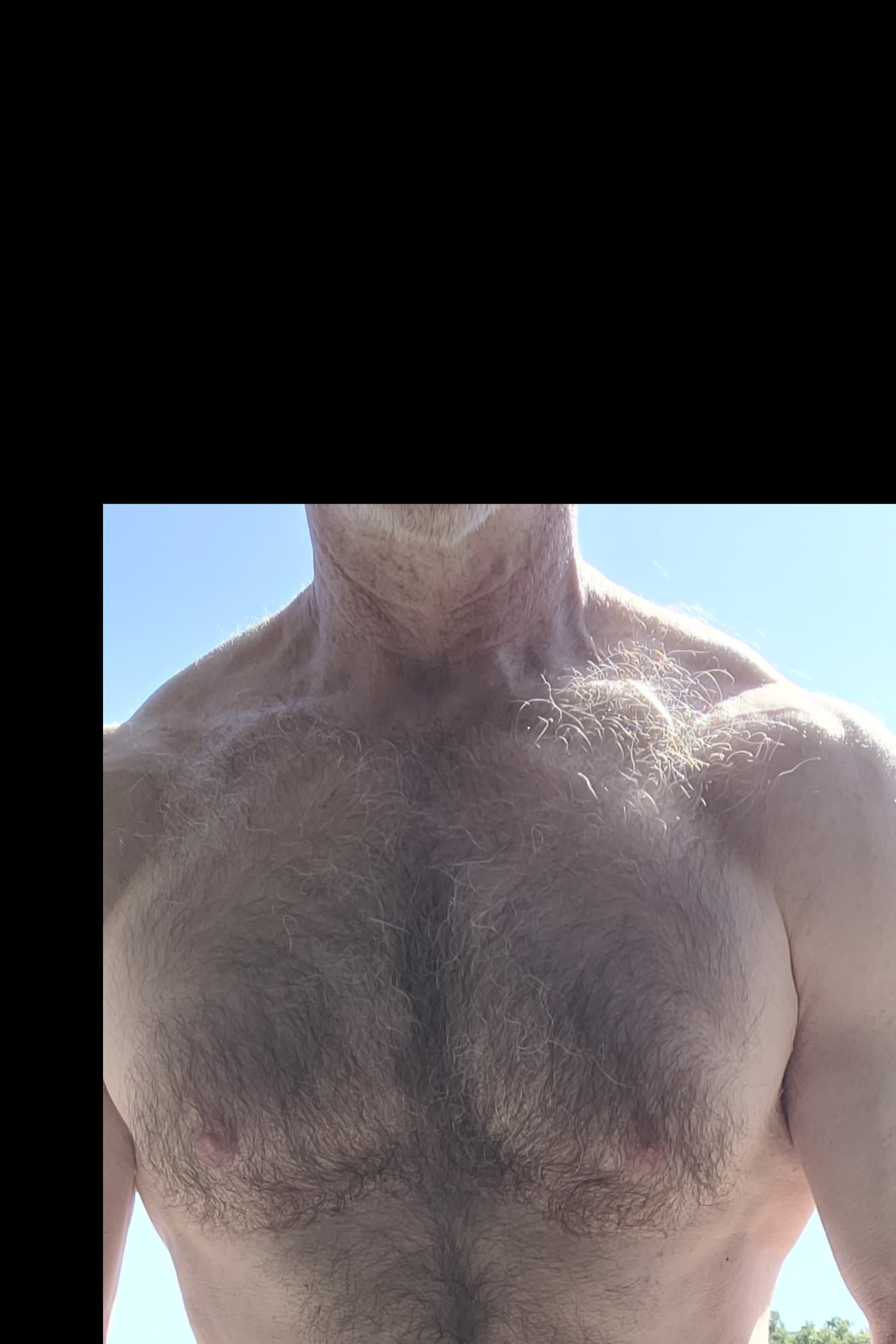 Hairy Daddy banner image