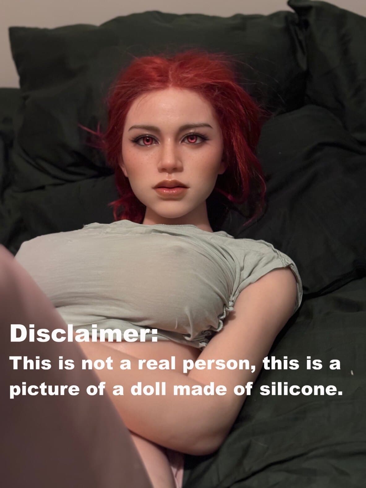 PollyandTiny banner image