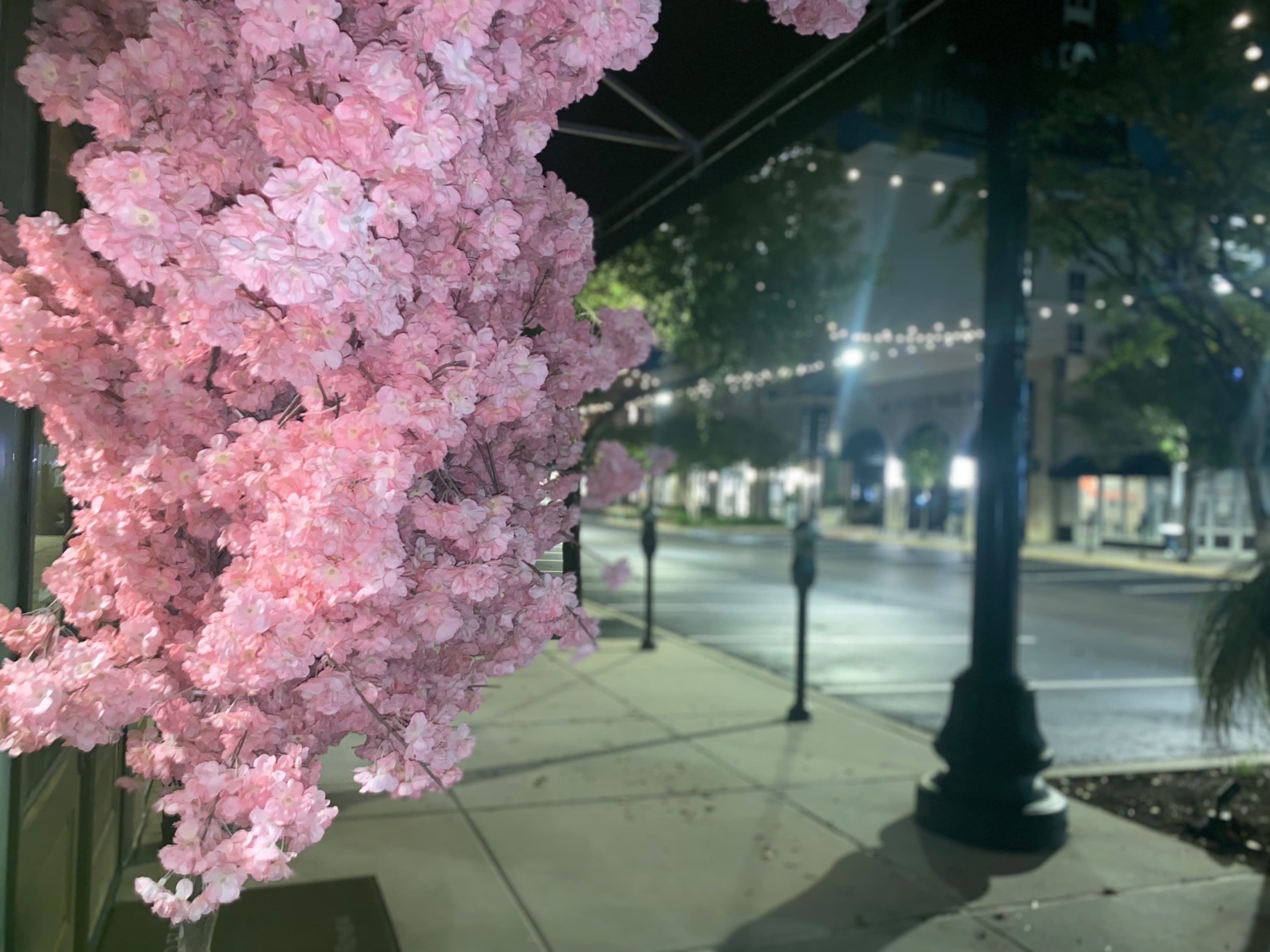 Maddiedabaddie banner image