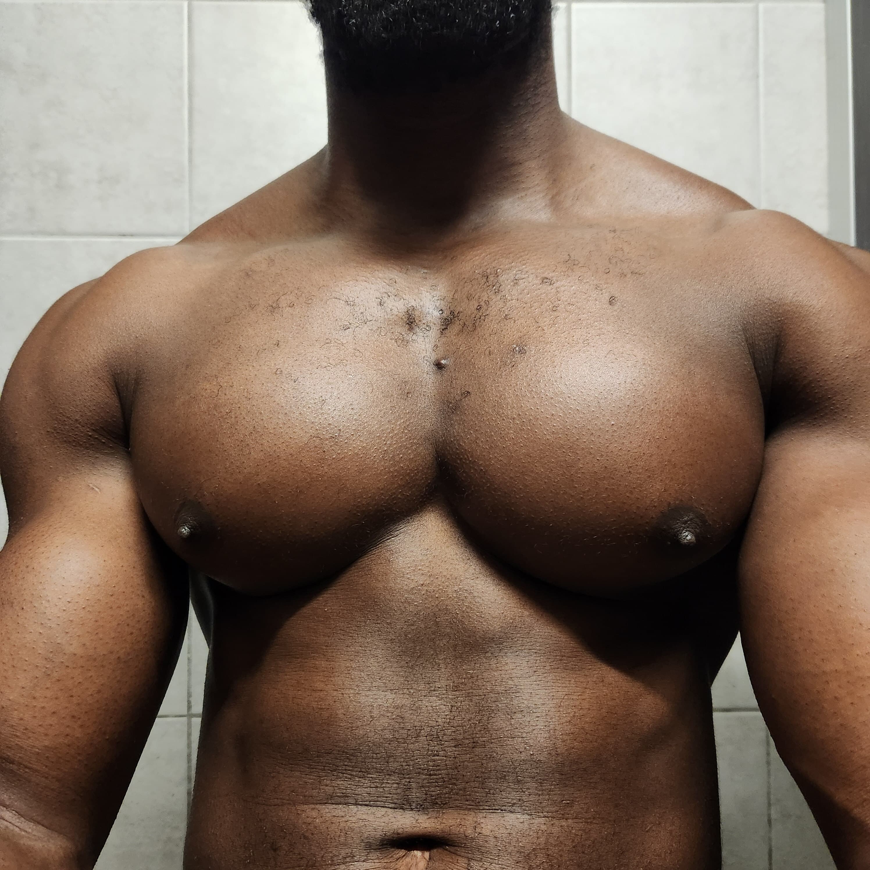 Pec_Panther banner image
