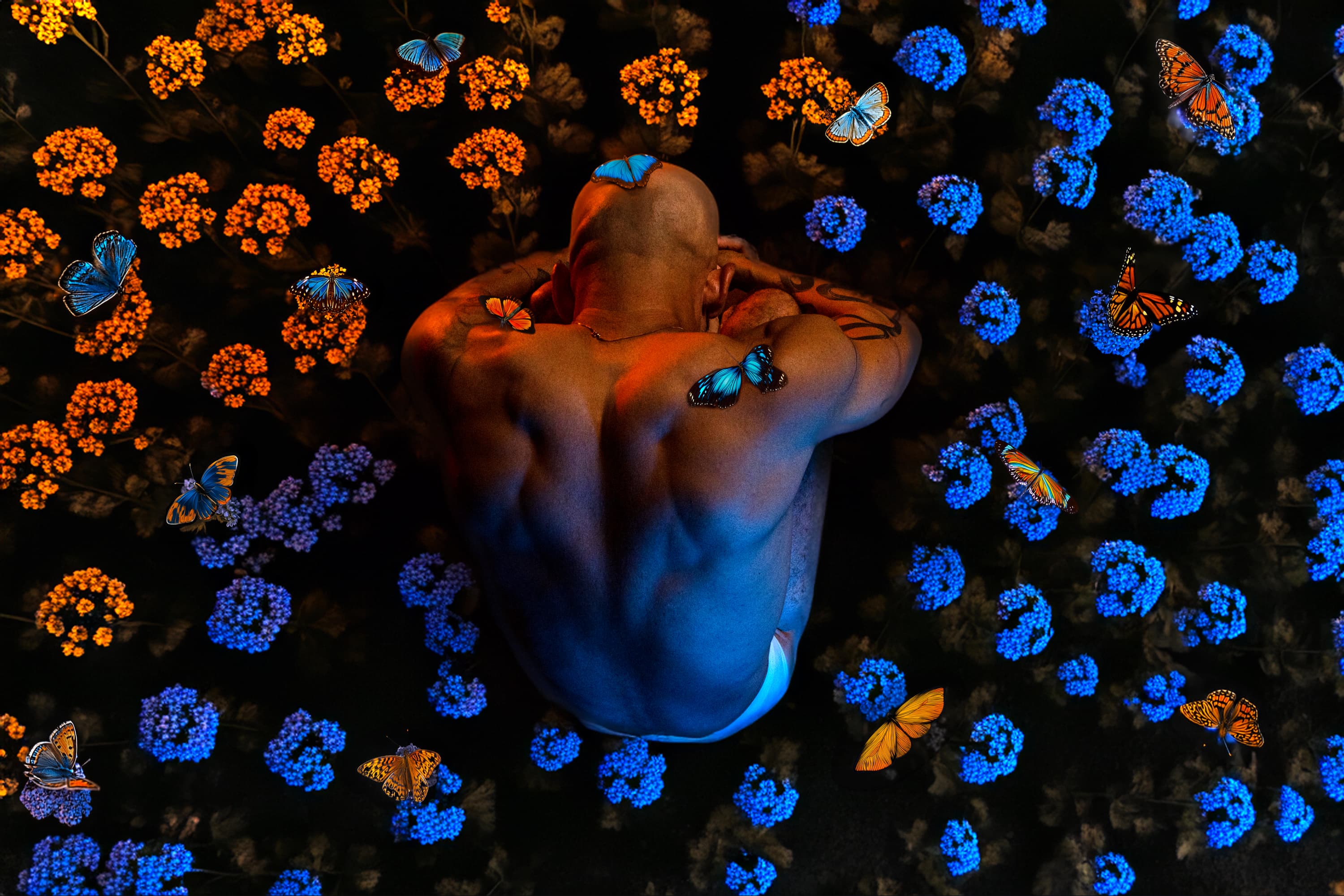 Austin Wilde banner image