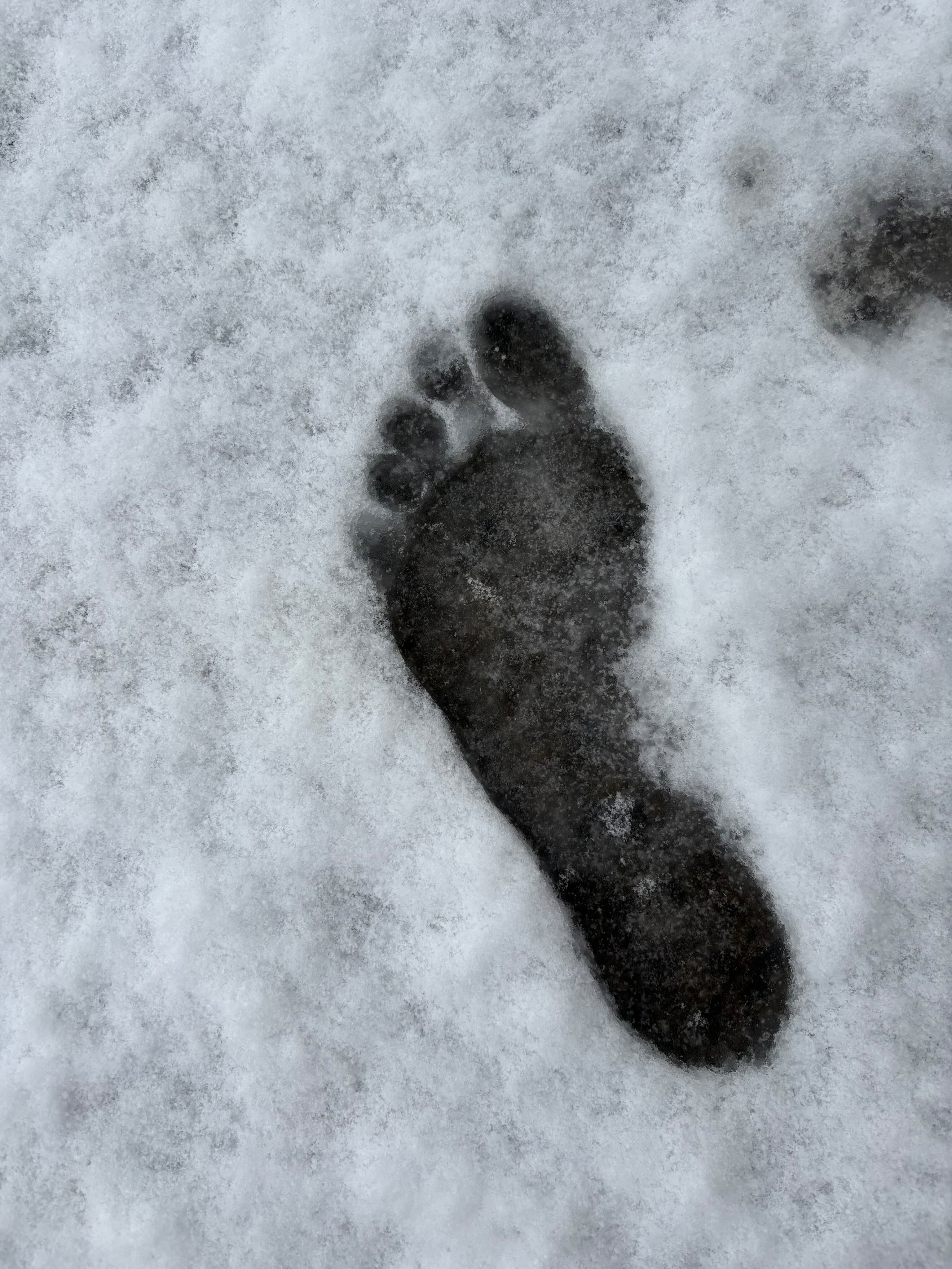 OnlyFeet625 banner image