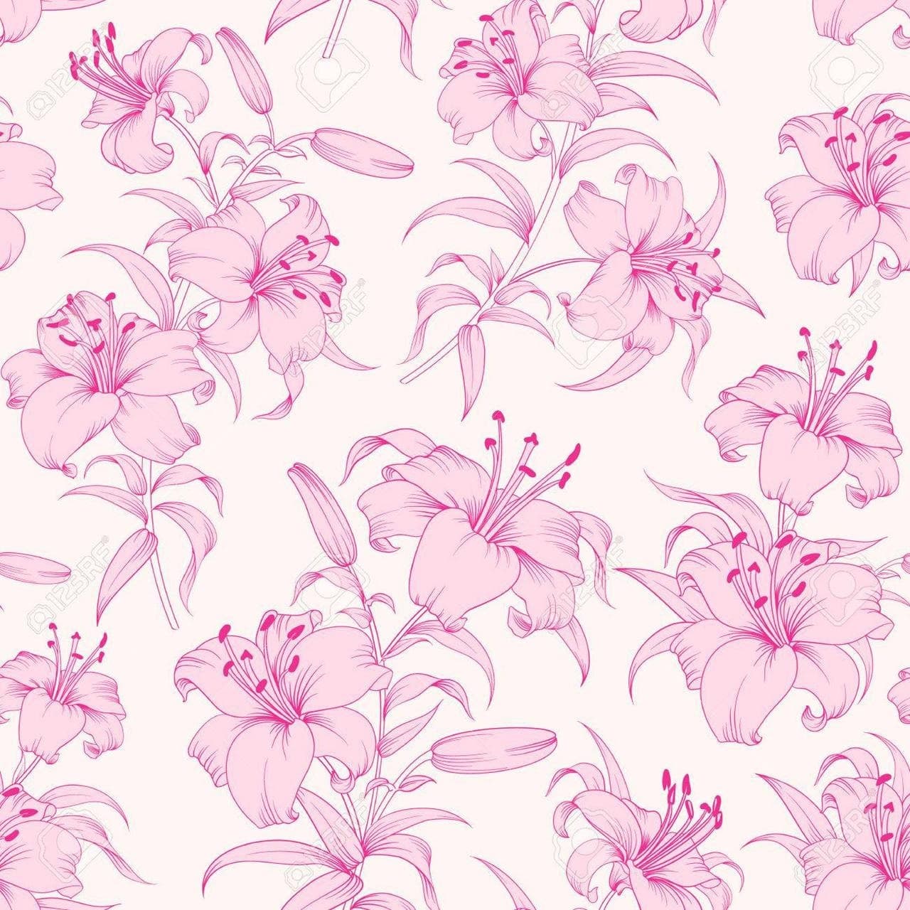 Lirio💐 banner image