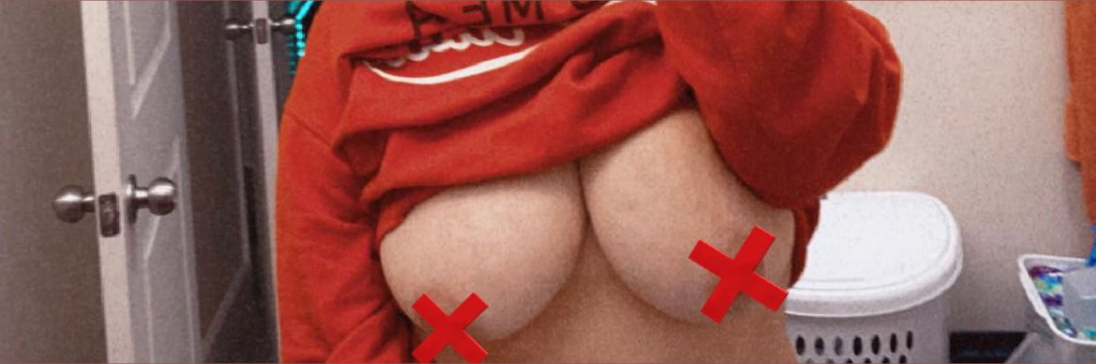 Raven banner image