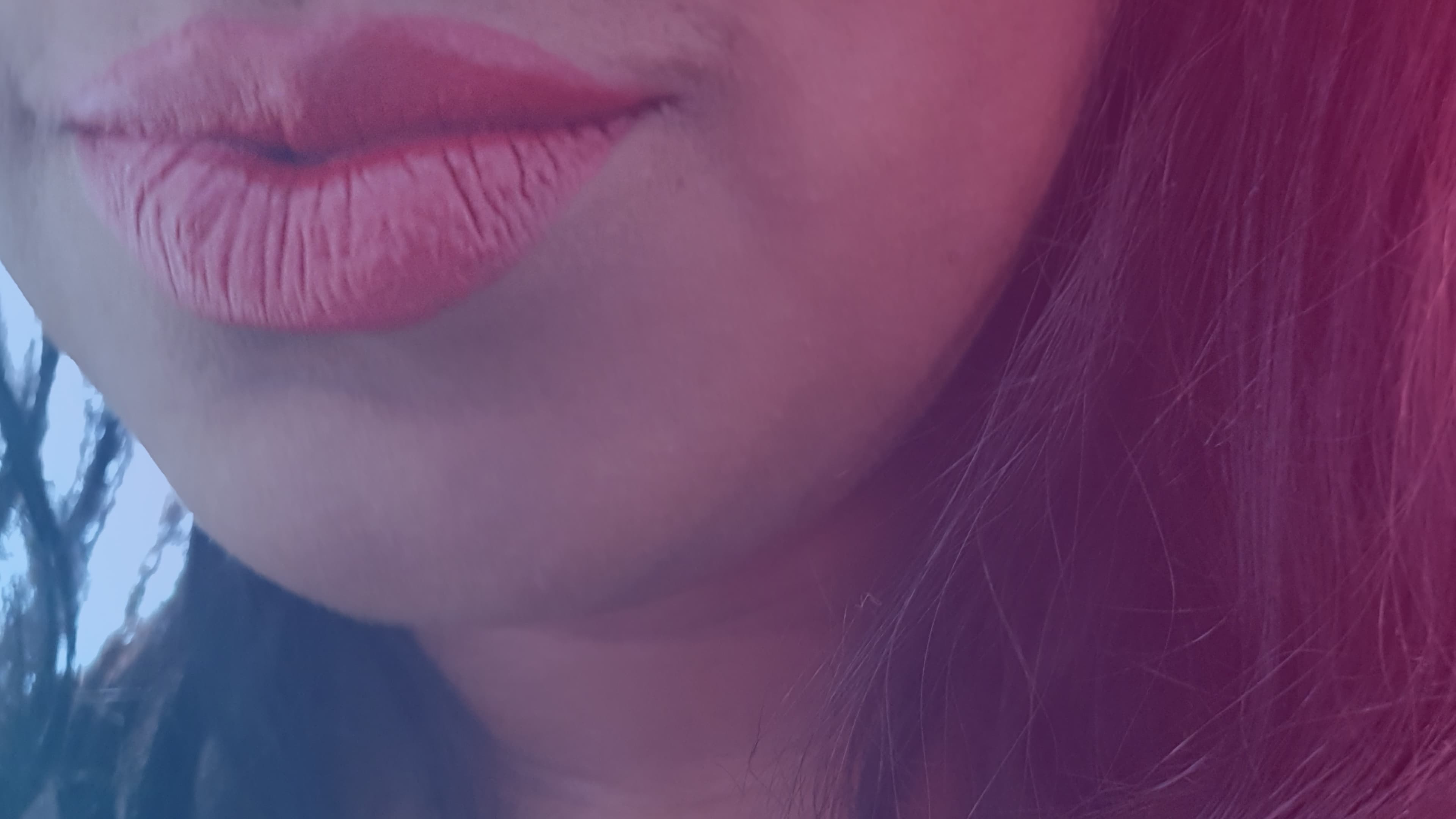 Carina Miran banner image