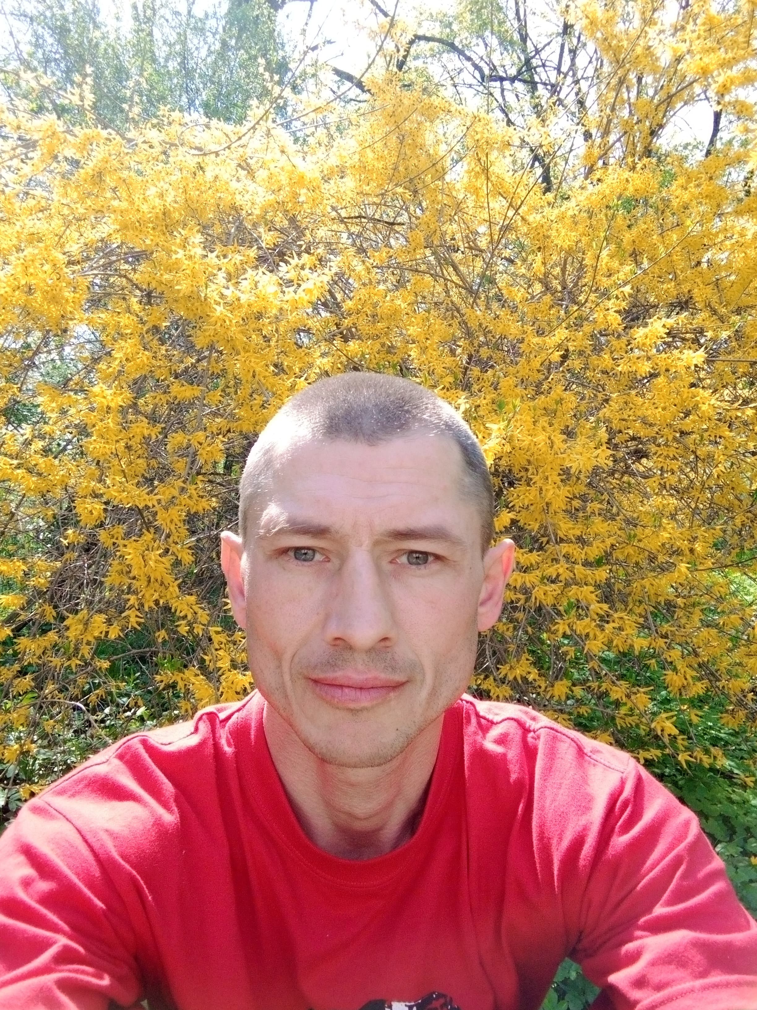 DMYTRO ROHOZHYNSKYI banner image