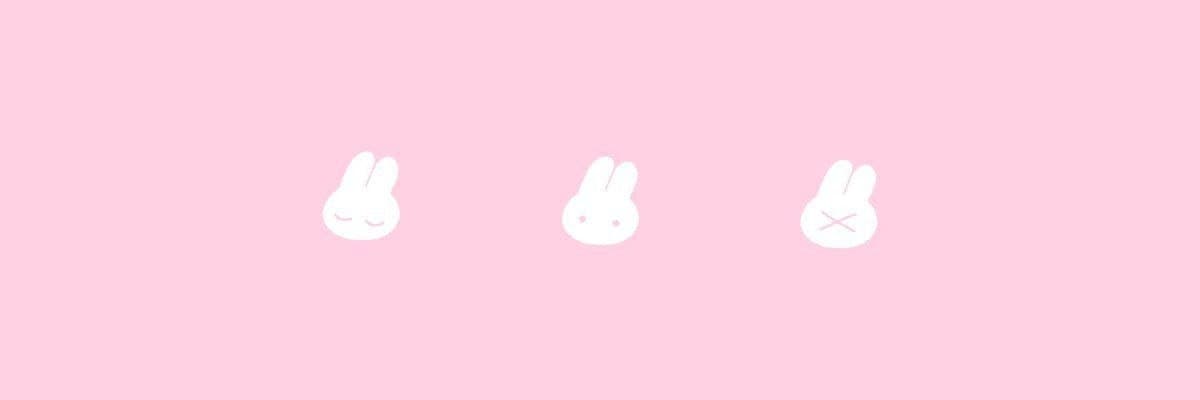 Cute Bunny banner image