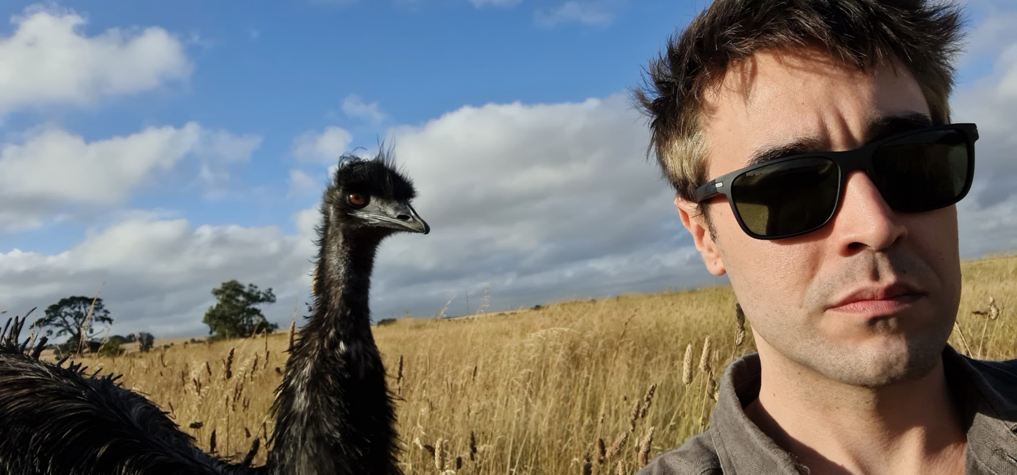 Tony the Emu King banner image