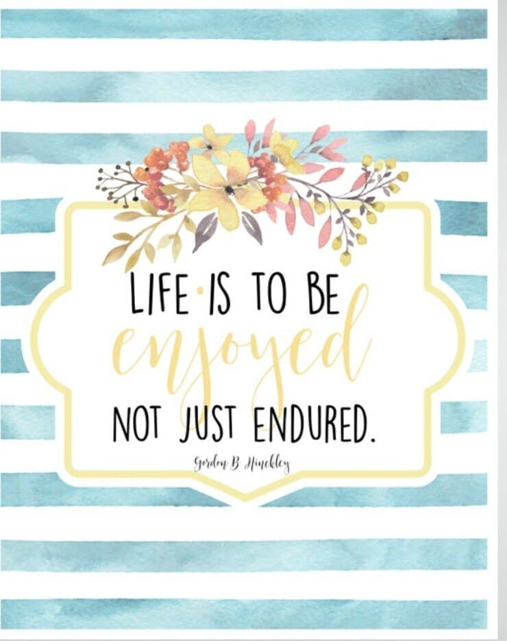 Kristine Rooze banner image