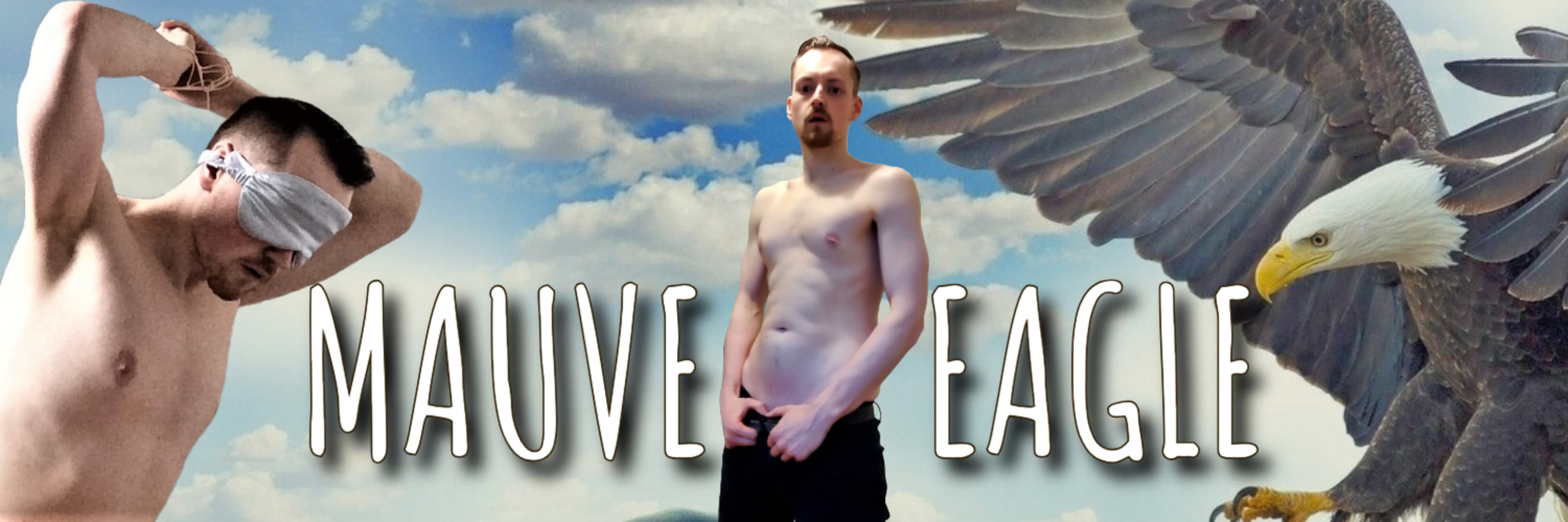 Mauve Eagle banner image
